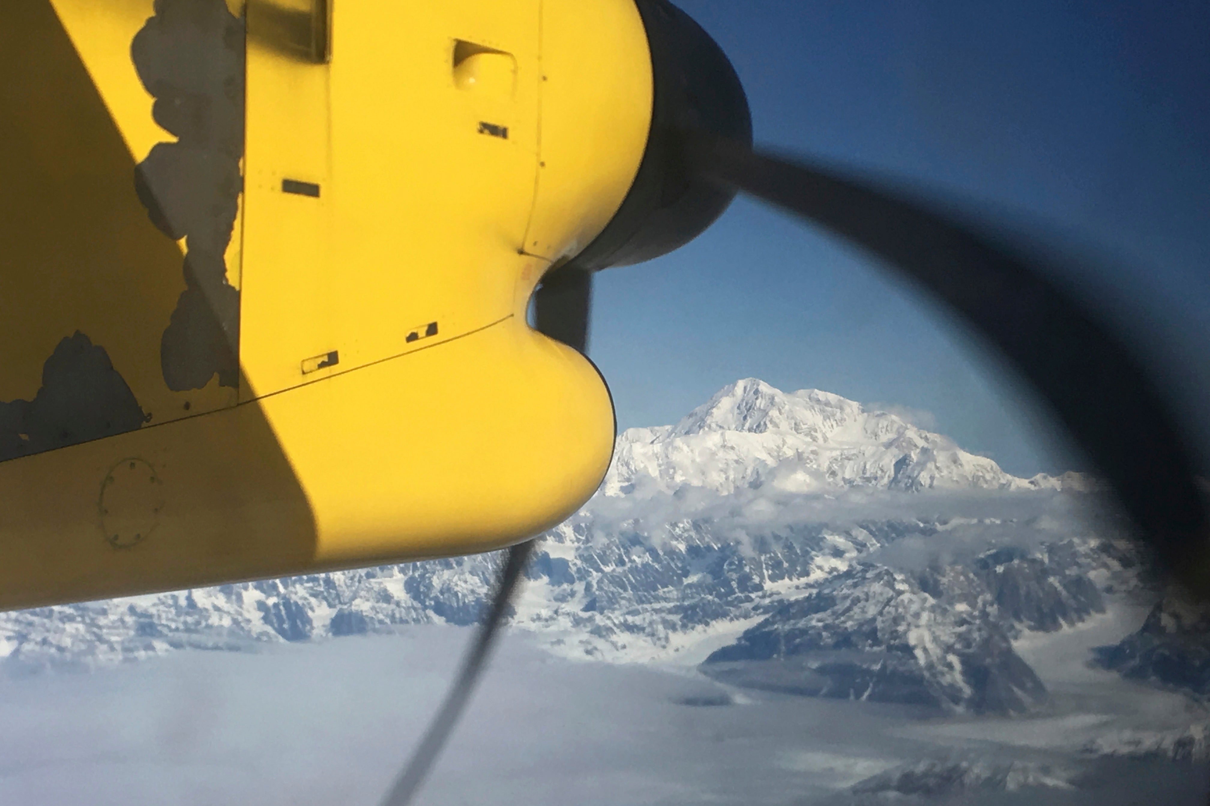 Stranded-on-Denali