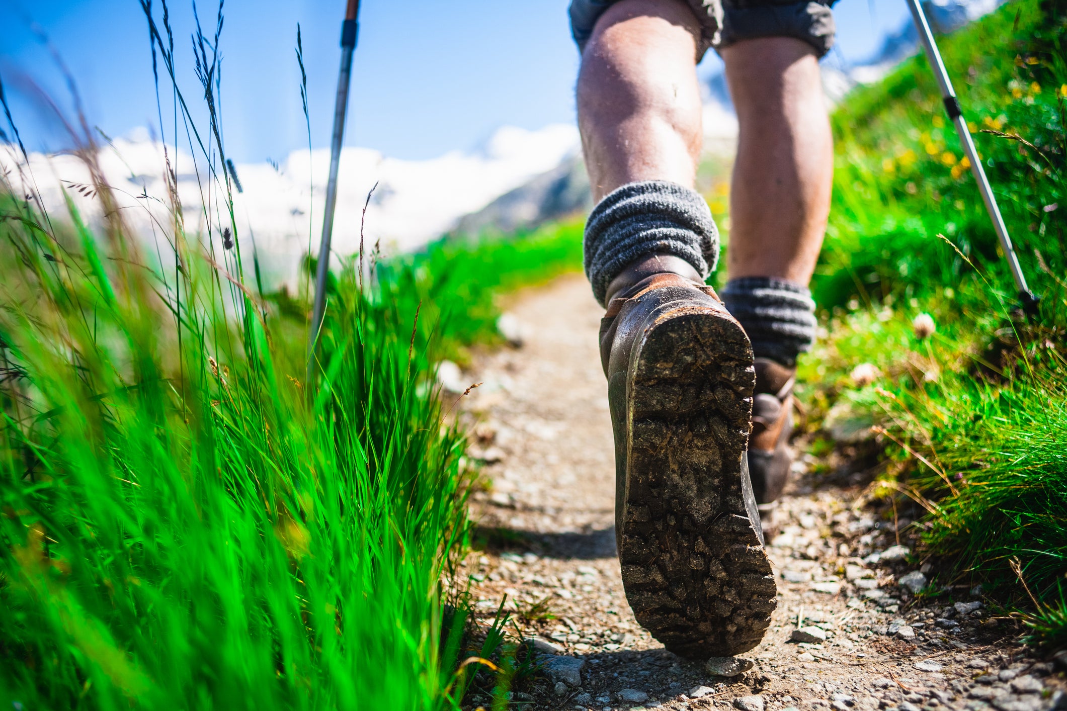 Hiker survives falling 1000 feet in North Carolina mountains