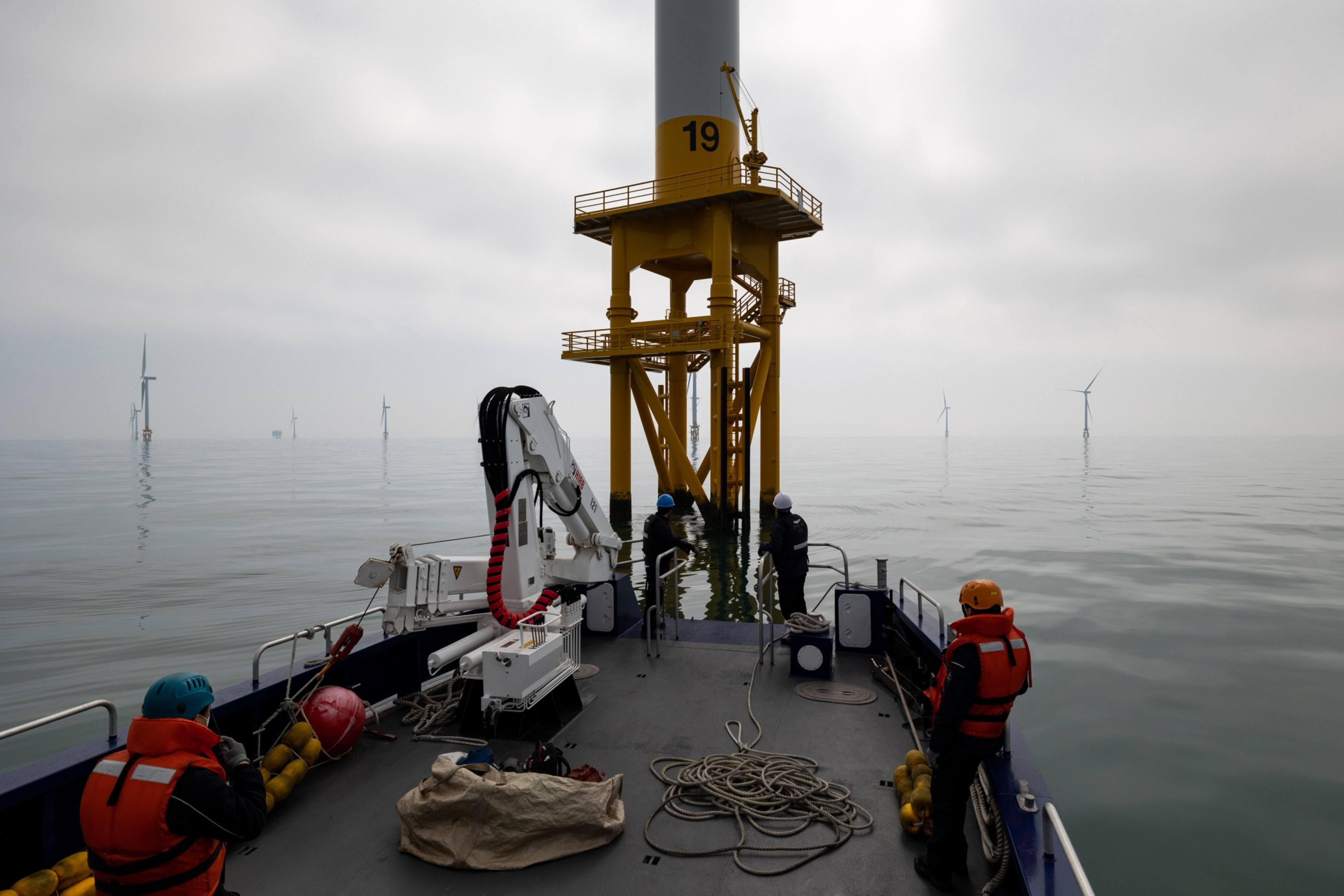 A maintenance boat approaches a wind farm in the Southwest Sea