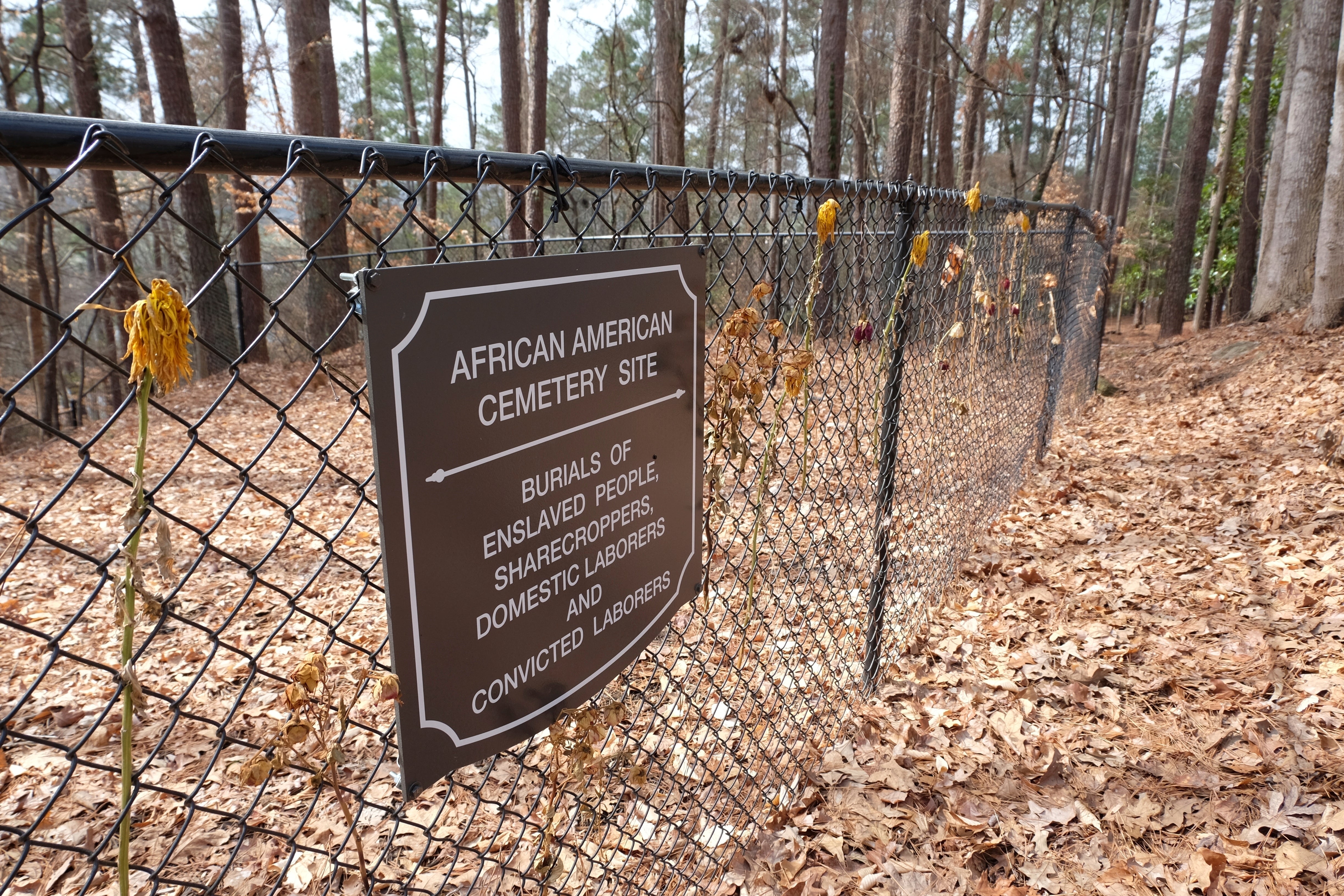 Clemson Slave Cemetery