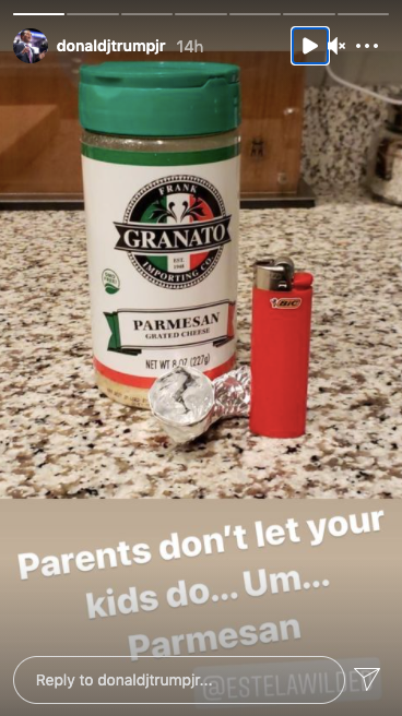 Screengrab of Donald Trump Jr’s story on Instagram, trolling Hunter Biden for smoking Parmesan cheese.