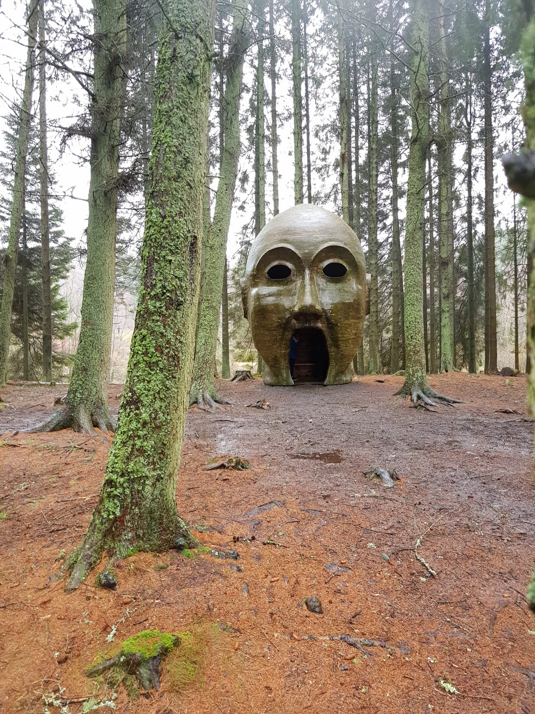 Sigmund Freud Silvas Capitalis (forest head) is a giant timber head located along the Lakeside Way