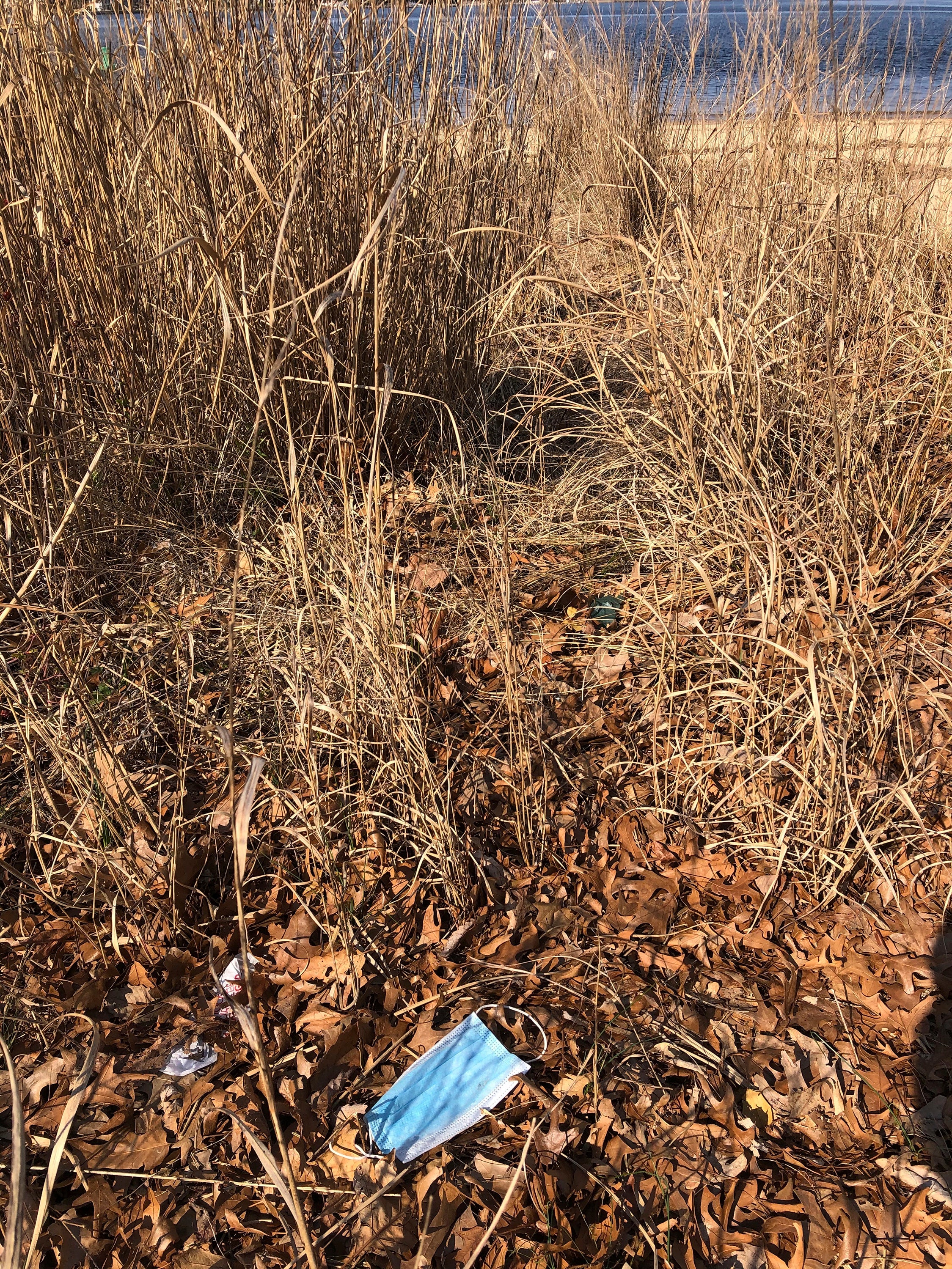 Virus Outbreak-Beach Trash