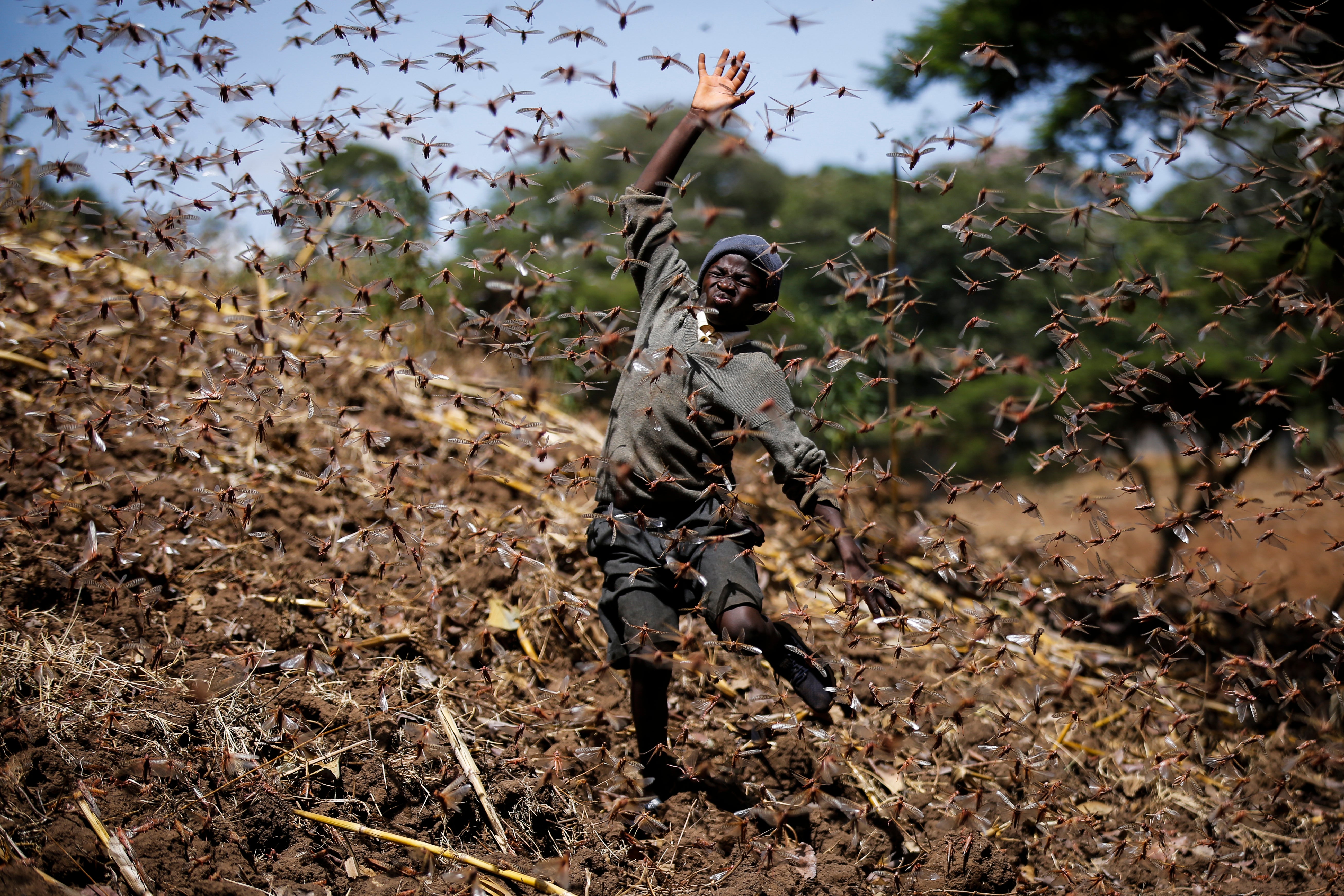 Pictures of the Week-Global-Photo Gallery