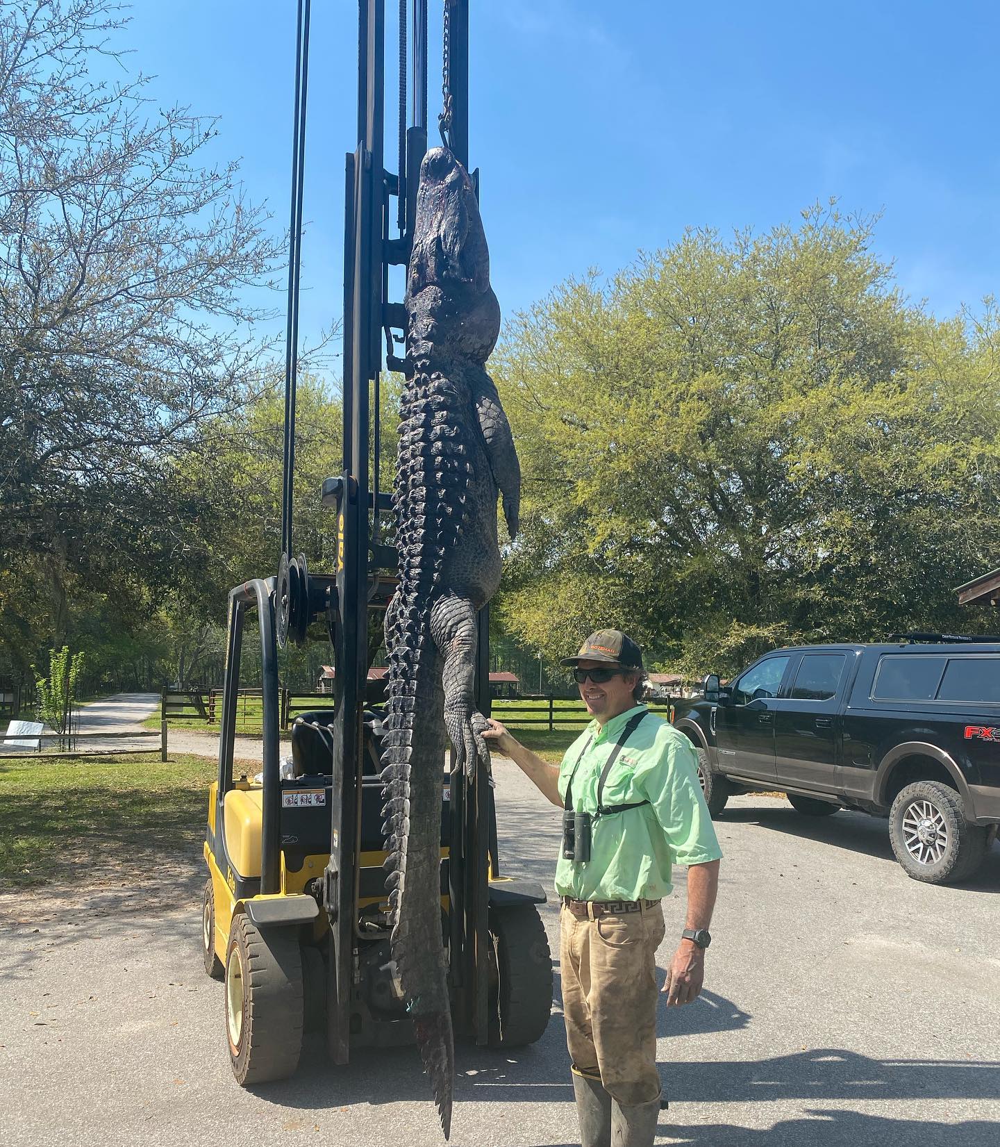 The 12ft alligator, pictured in a photo from Facebook, was caught in South Carolina and found to have five dog tags inside its stomach