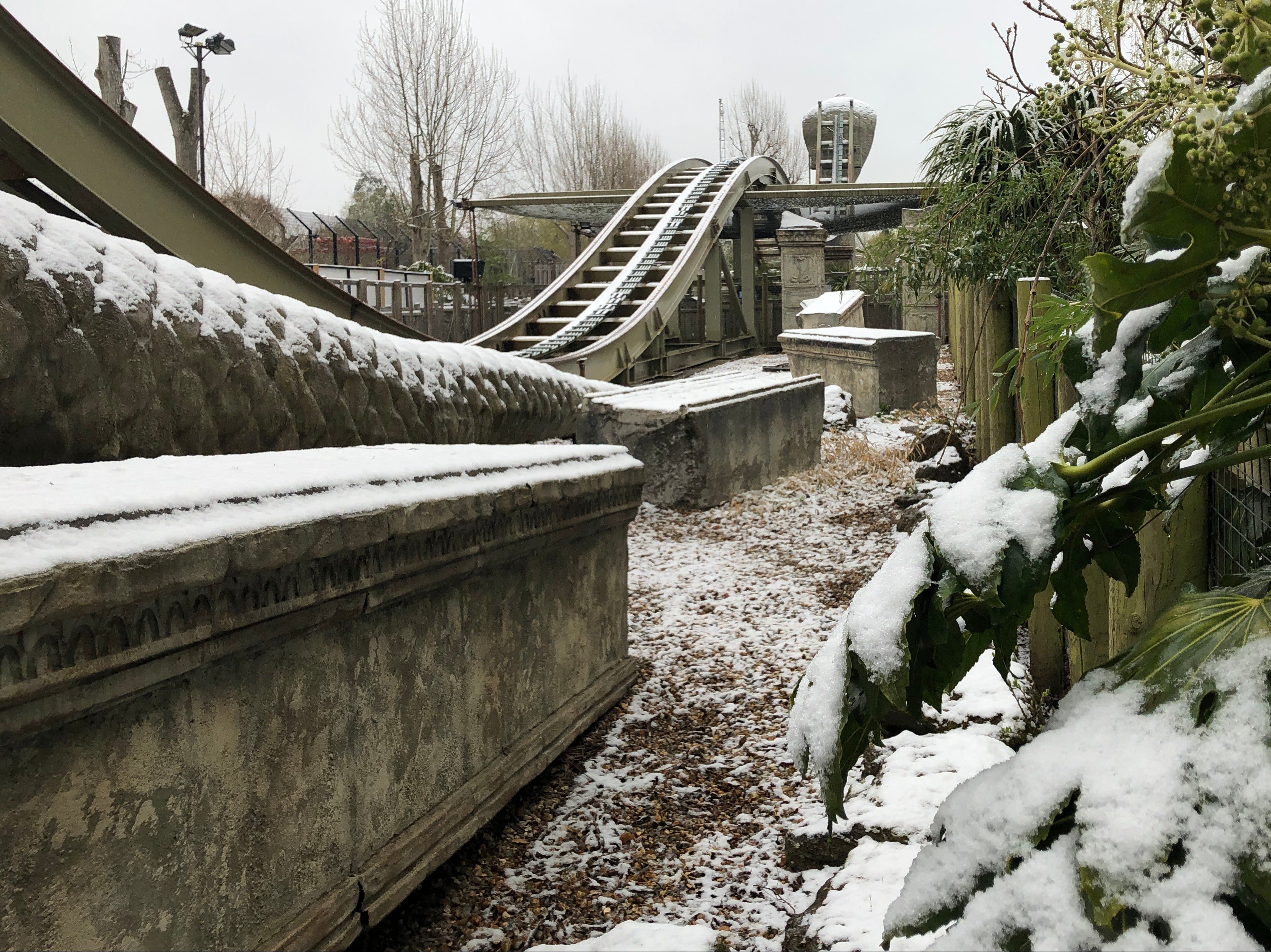 Bleak midwinter? The queue for admission for Chessington World of Adventures began an hour before opening time