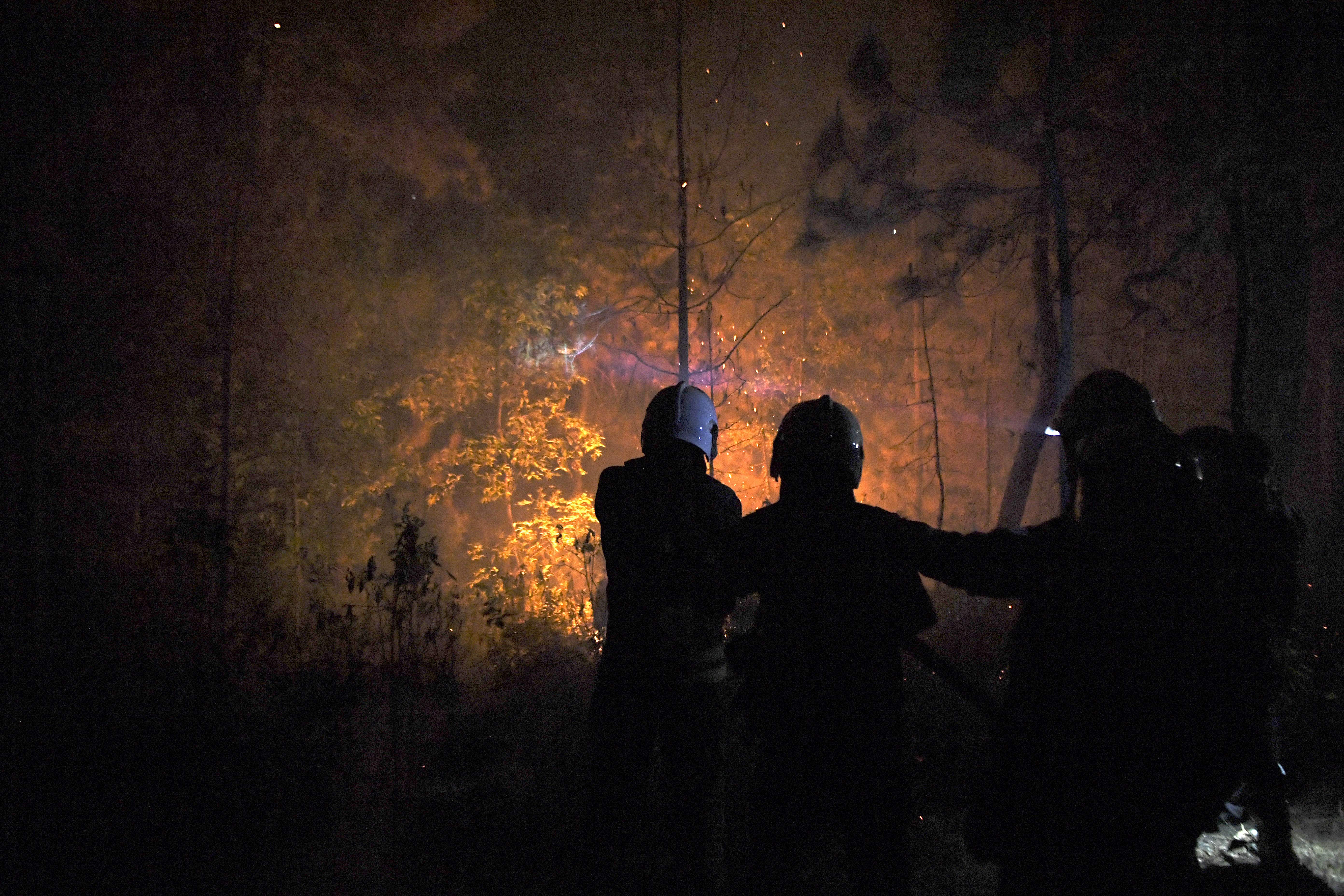 Wildfires have been raging across the country since November