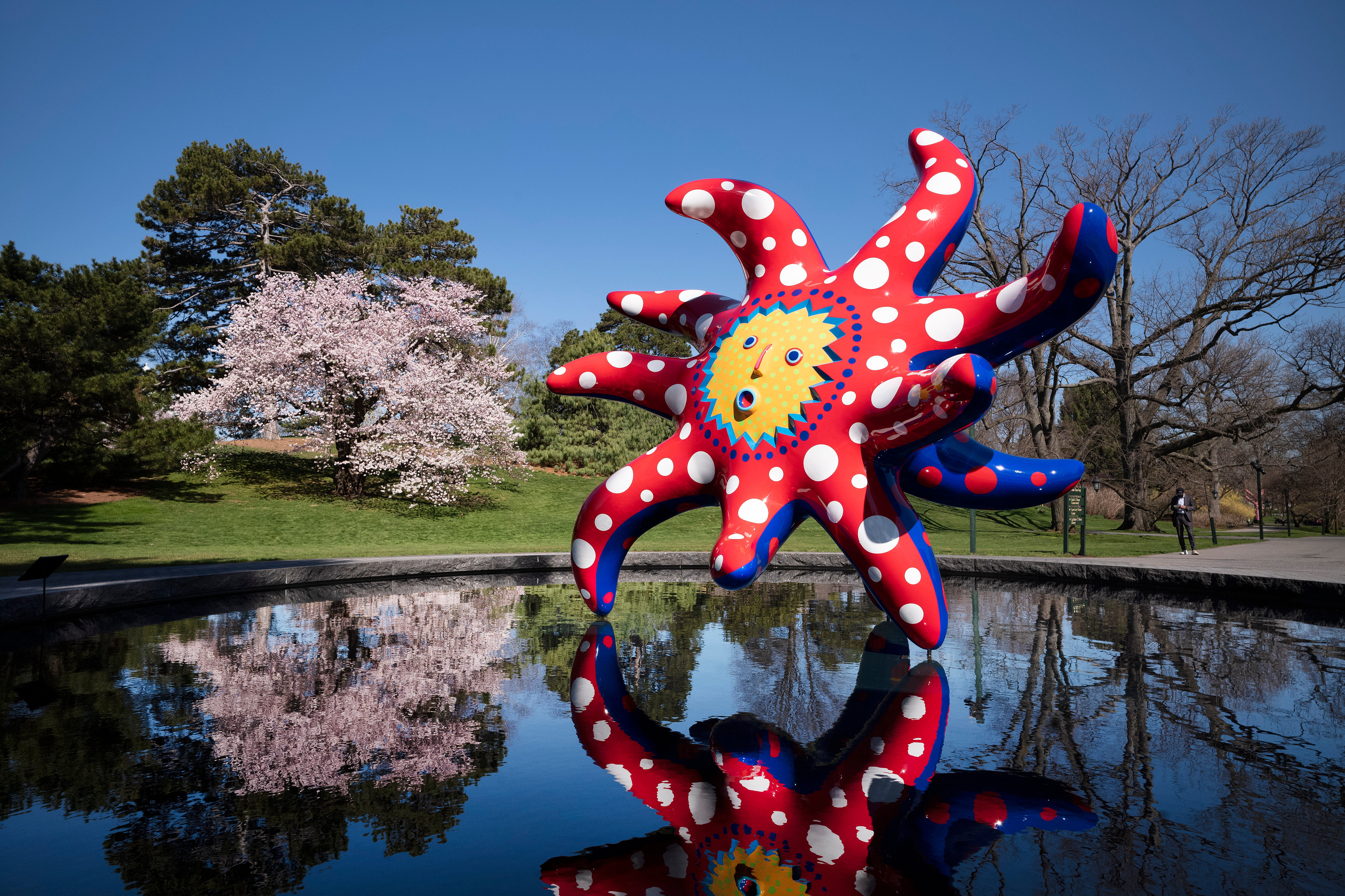 Gardening Kusama Show