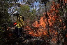 Pollution from Australia wildfires ‘warmed stratosphere by 1°C for six months’