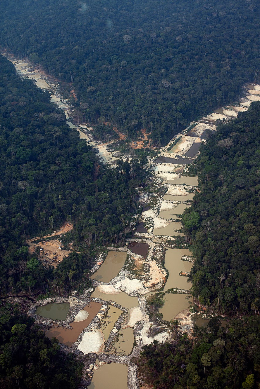 The rate of deforestation within the Brazilian Amazon has surged since Bolsonaro gained power as seen here in the municipality of Trairao