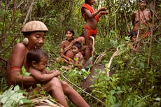 ‘He’s causing terrible suffering’: Bolsonaro’s ‘death bill’ will devastate the rainforest and its peoples