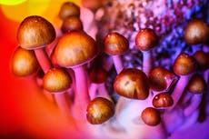 The truth about magic mushrooms and depression