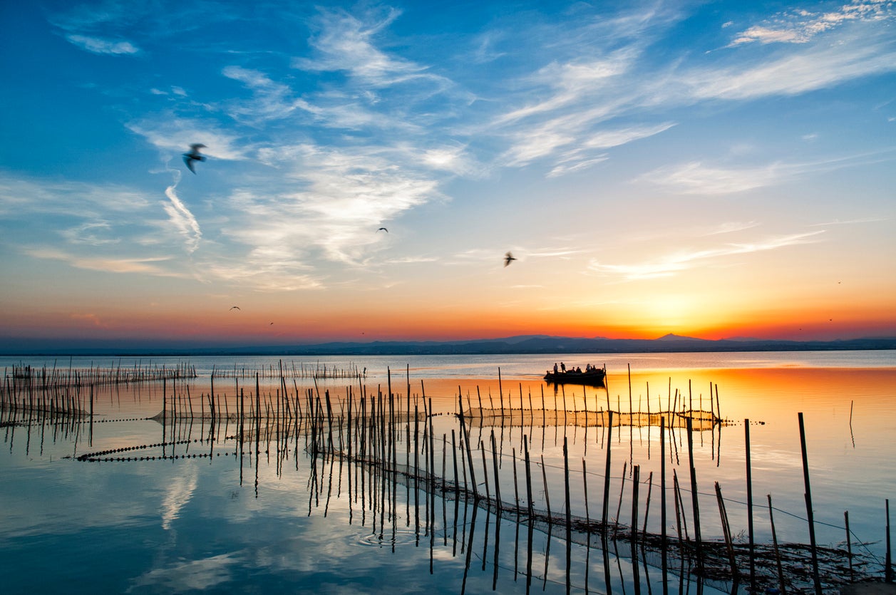 Albufera is one of the most important wetland areas in Spain