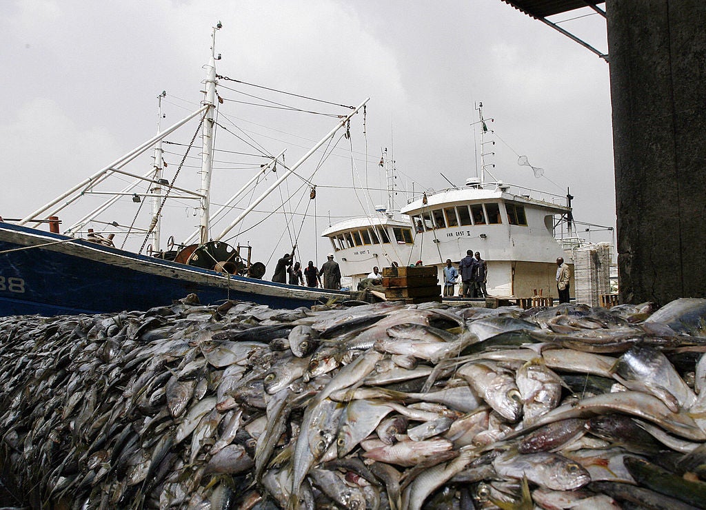 ‘An estimated area of 1.9 million square miles is bottom trawled each year – that’s 230 times the size of Wales’