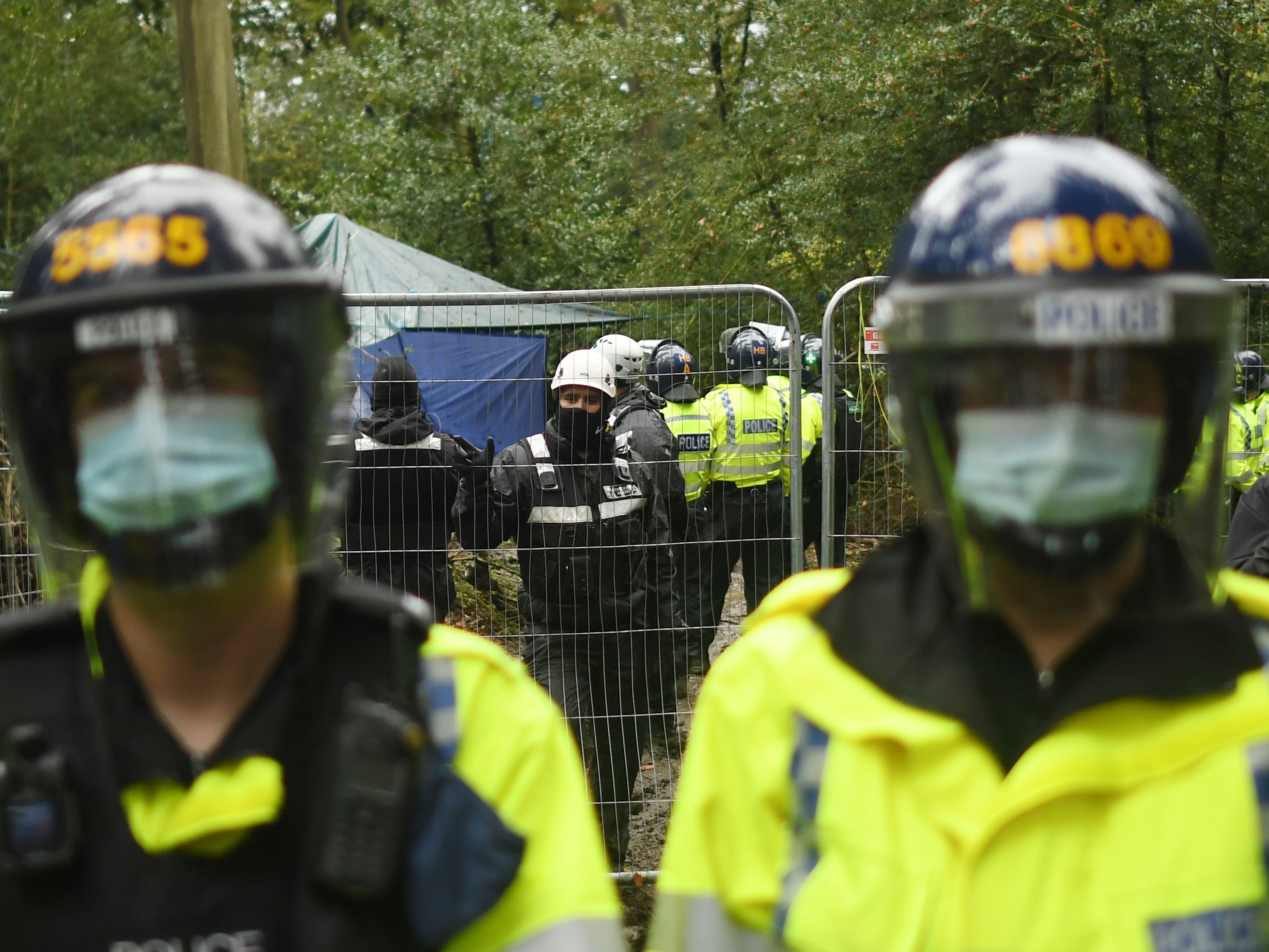 Protesters at Jones Hill Wood were evicted while they said they were protecting bats, badgers, tawny owls and foxes