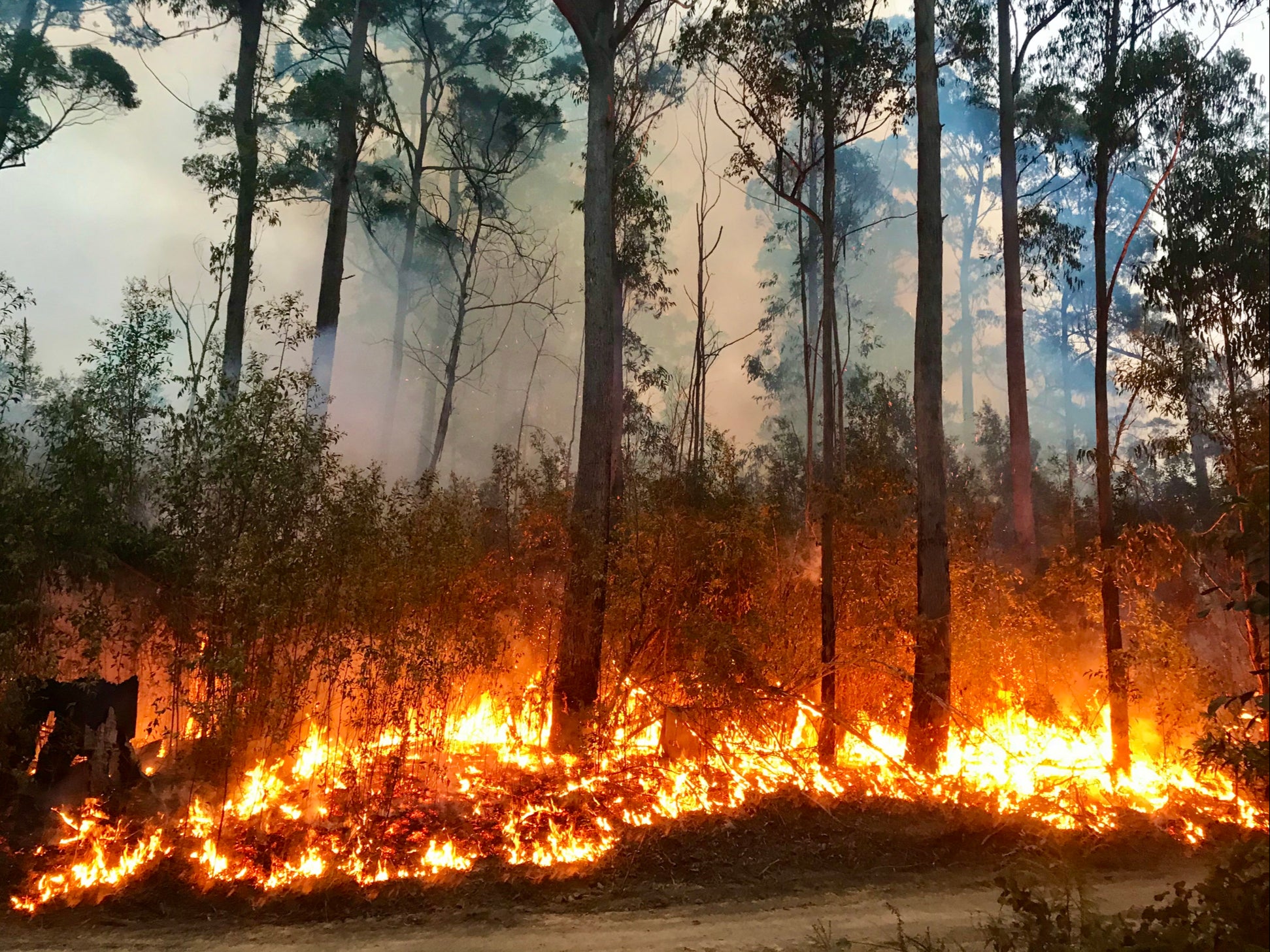 Wildfires broke out in Australia when heat records were broken in early 2020