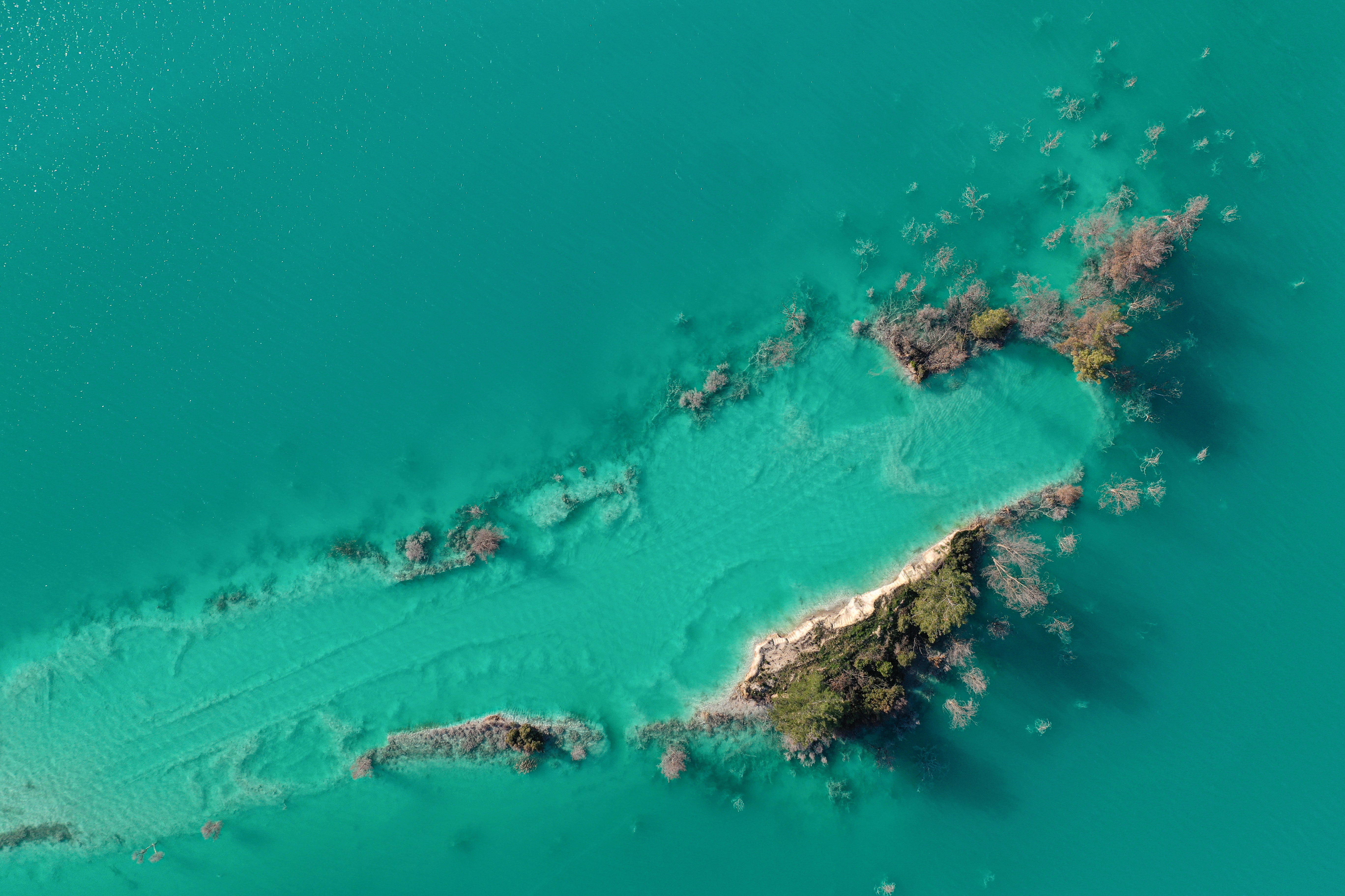 An aerial view shows rotten trees in a toxic lake near the town of Yatagan, Turkey