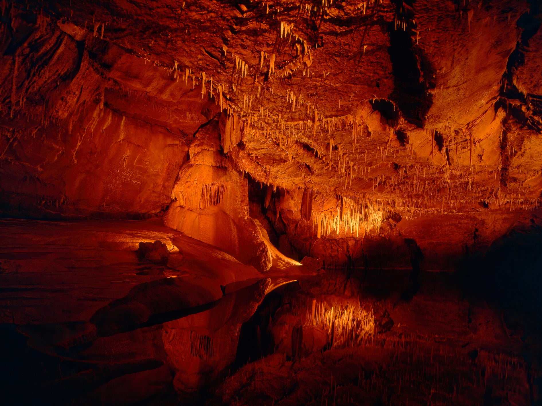 The Lascaux Cave in southwestern France, thought to have been painted around 20,000 years ago