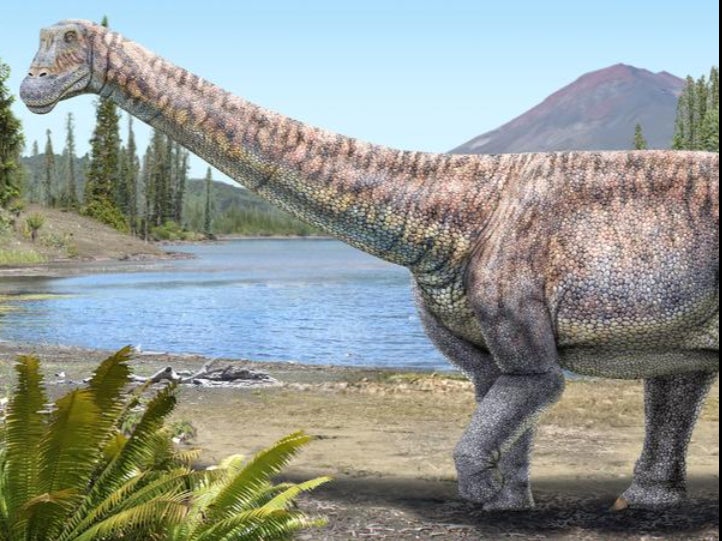 Clutch of over 250 fossilised eggs unearthed in India suggests dinosaurs may have nested together like birds