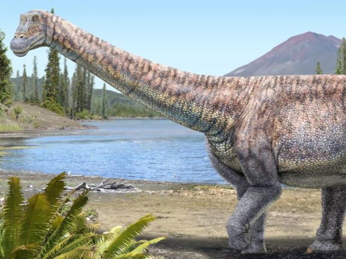 An artist’s impression of the plant-eating dinosaur whose remains scientists have discovered in the Atacama desert in Chile