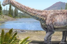 Remains of previously unknown dinosaur discovered in Chile