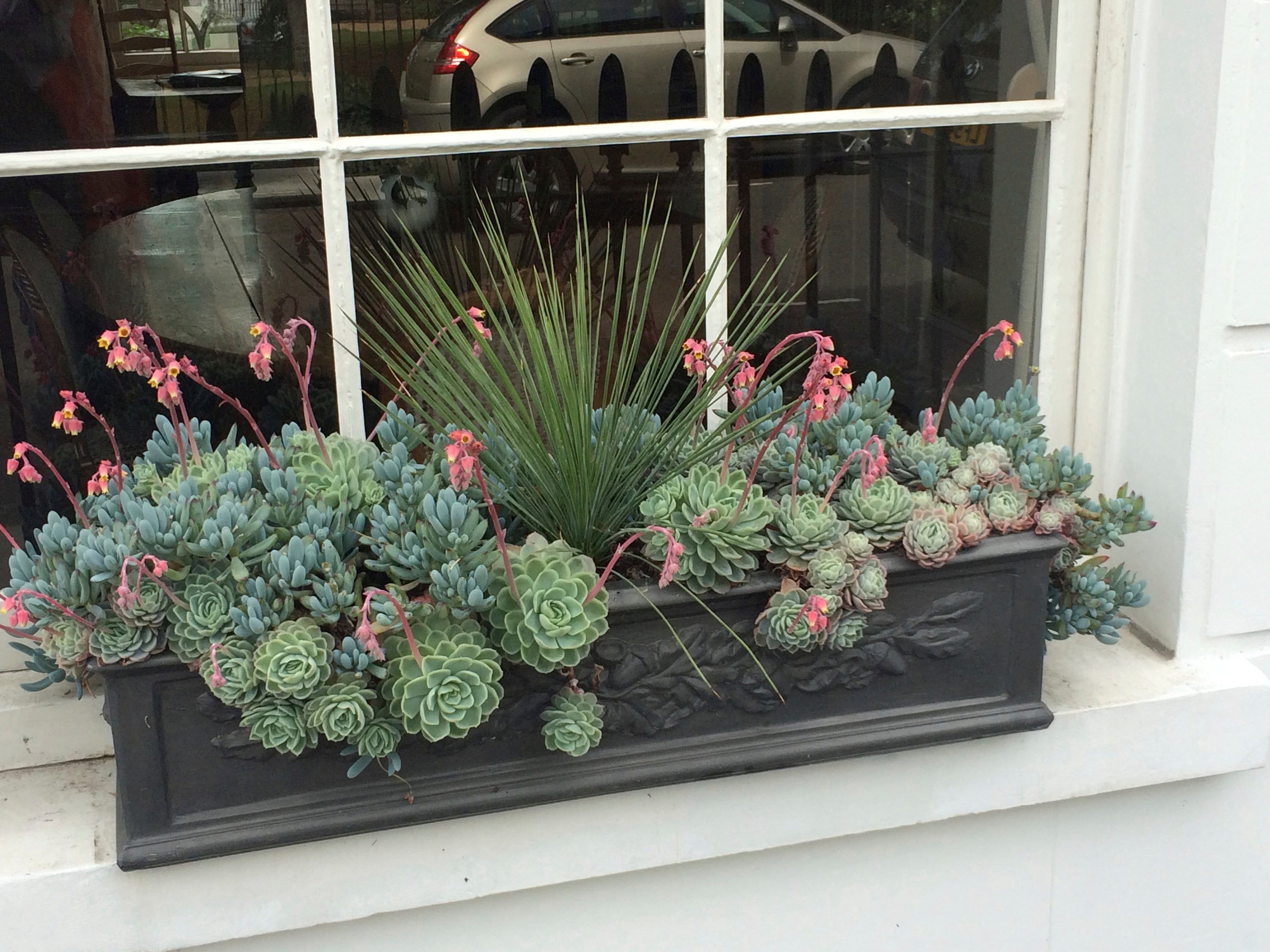 Window Boxes