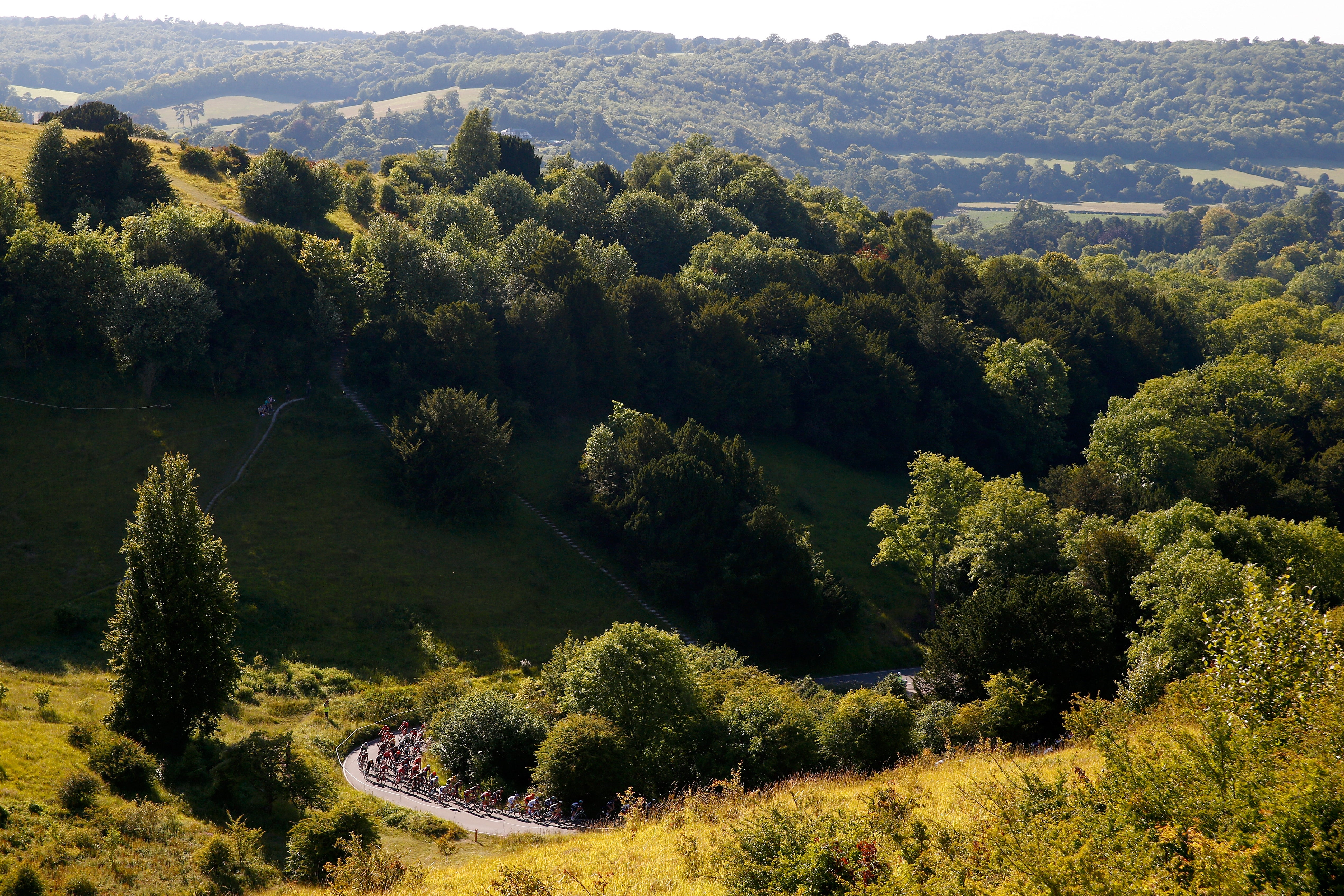 Surrey is particularly leafy