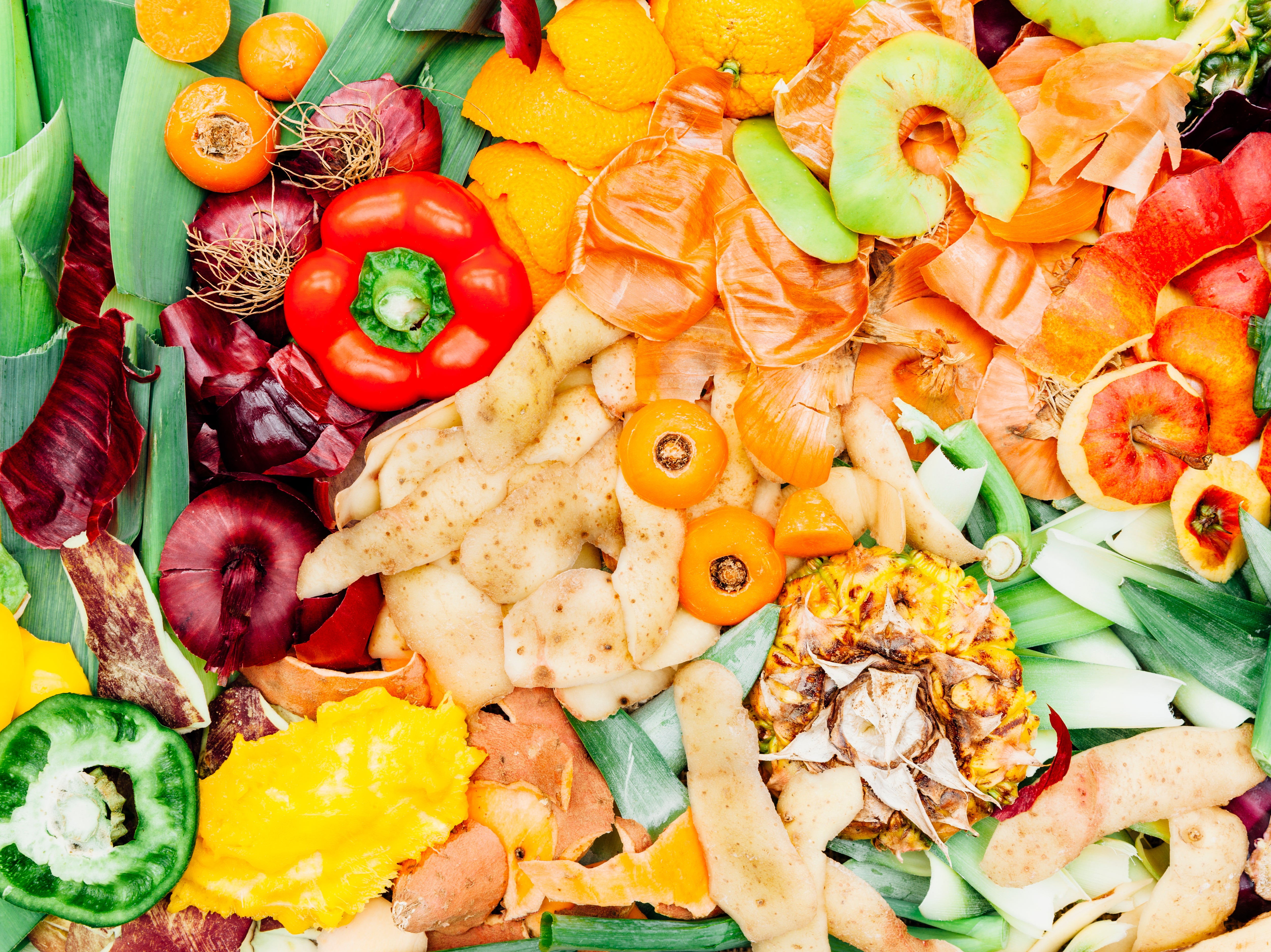 According to the Drawdown Project, fighting food waste is the number one solution to reversing the climate crisis