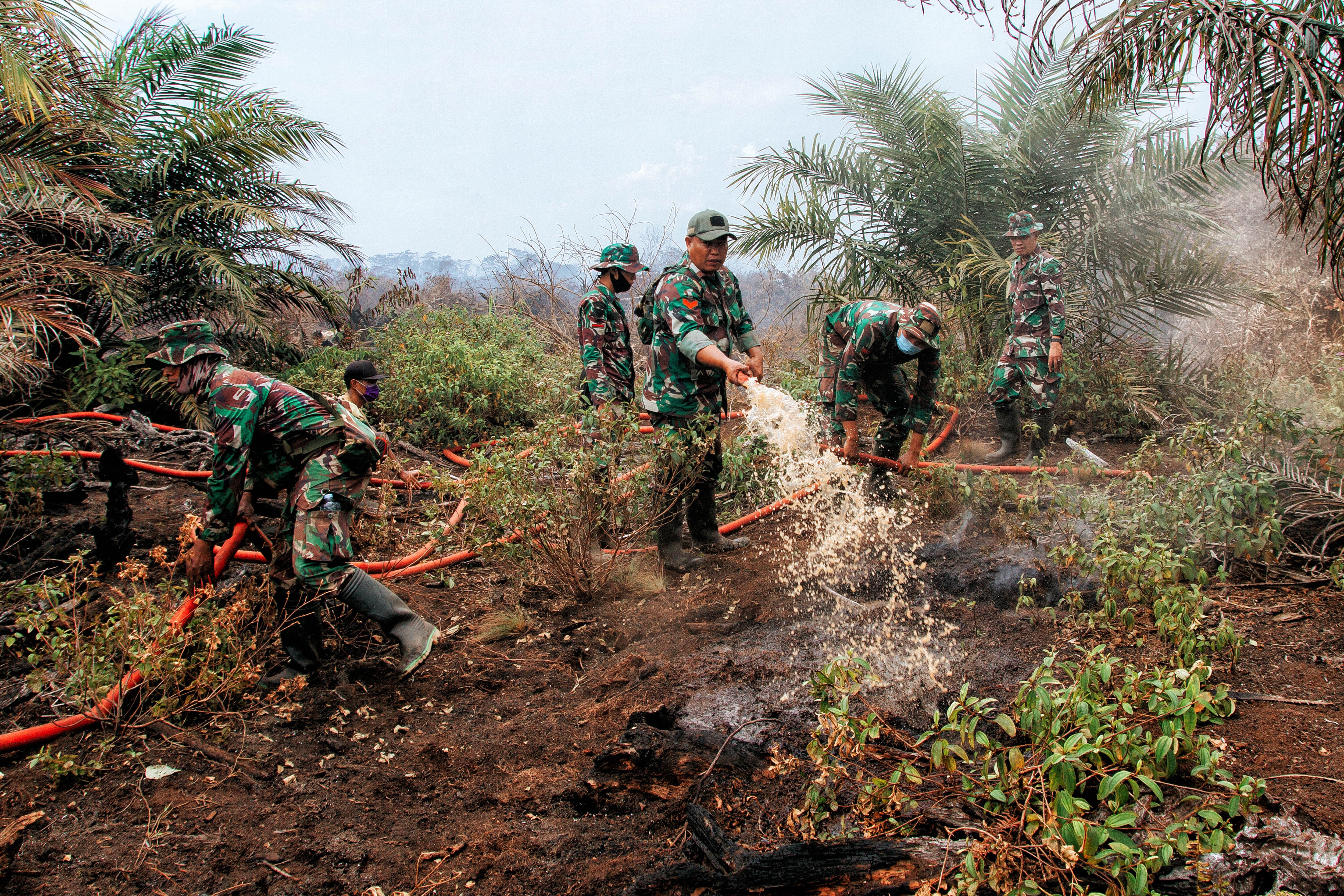 Forest fires in Meureubo, Indonesia, destroyed 5.5 hectares of land