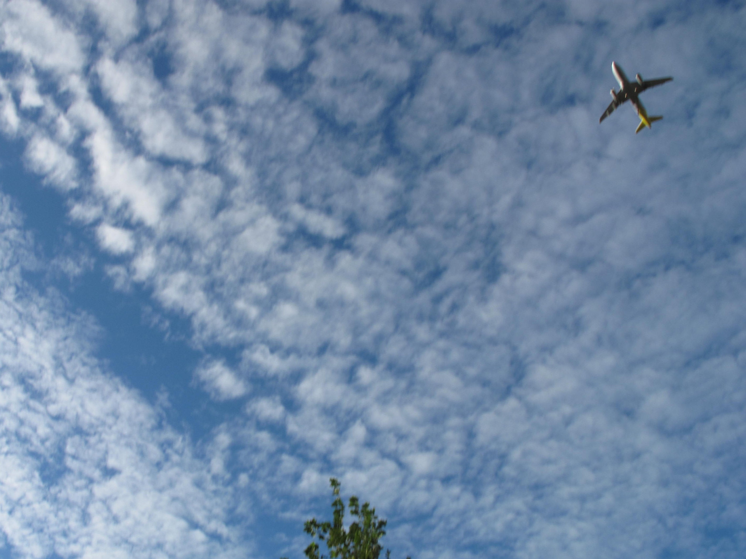 Rare sight: an aircraft taking off from Stansted airport