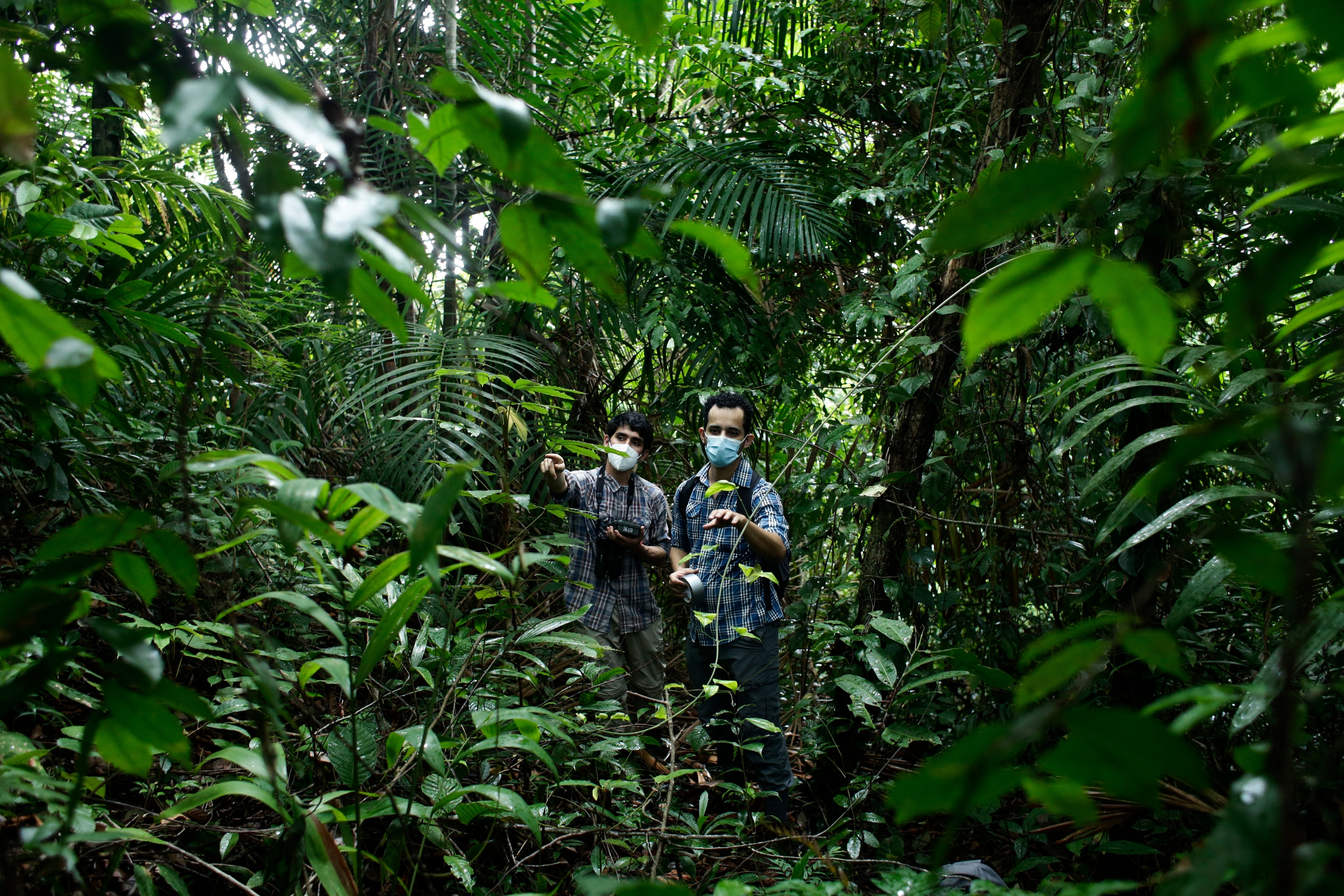 Virus Outbreak Panama Scientists