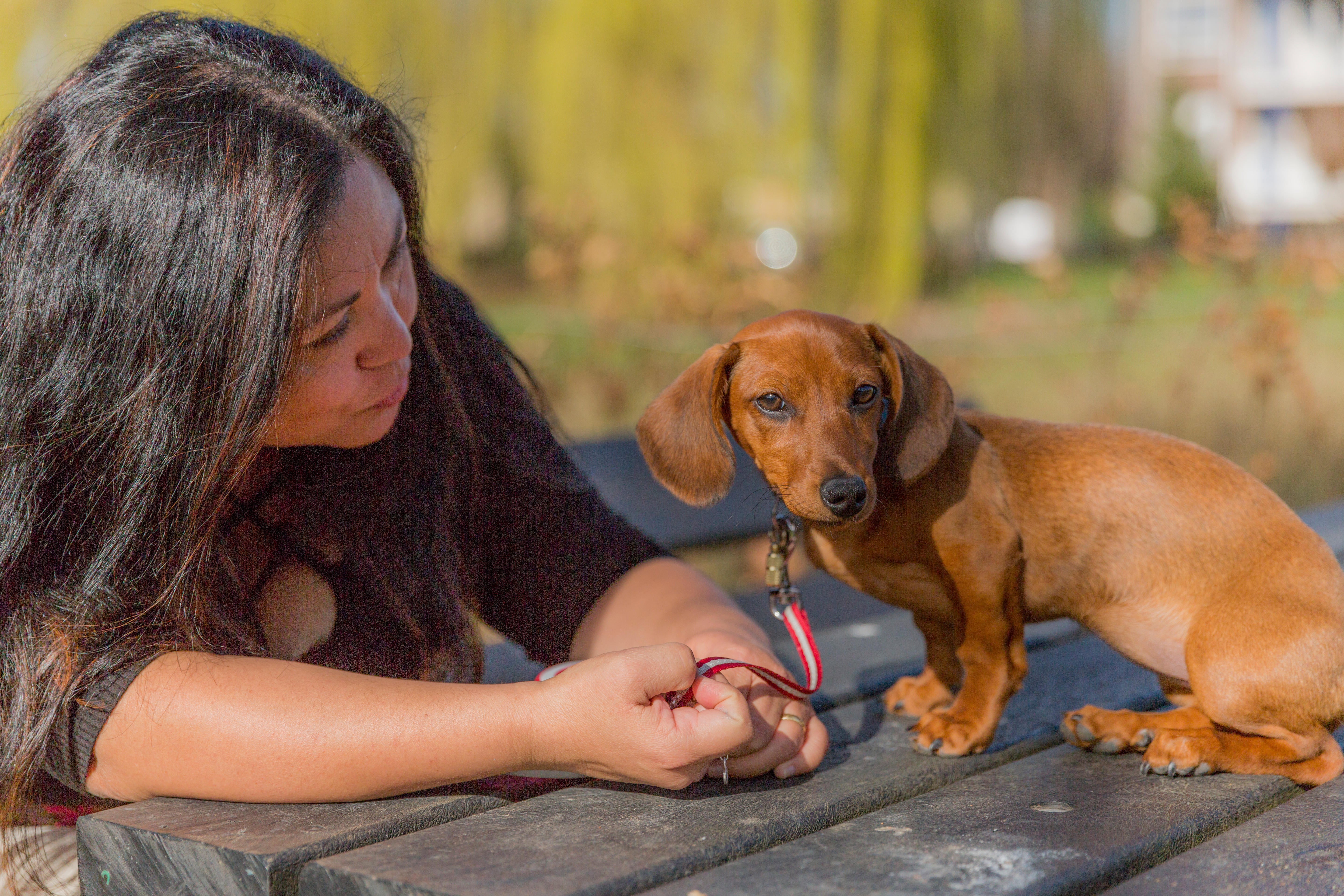 Woman with a puppy