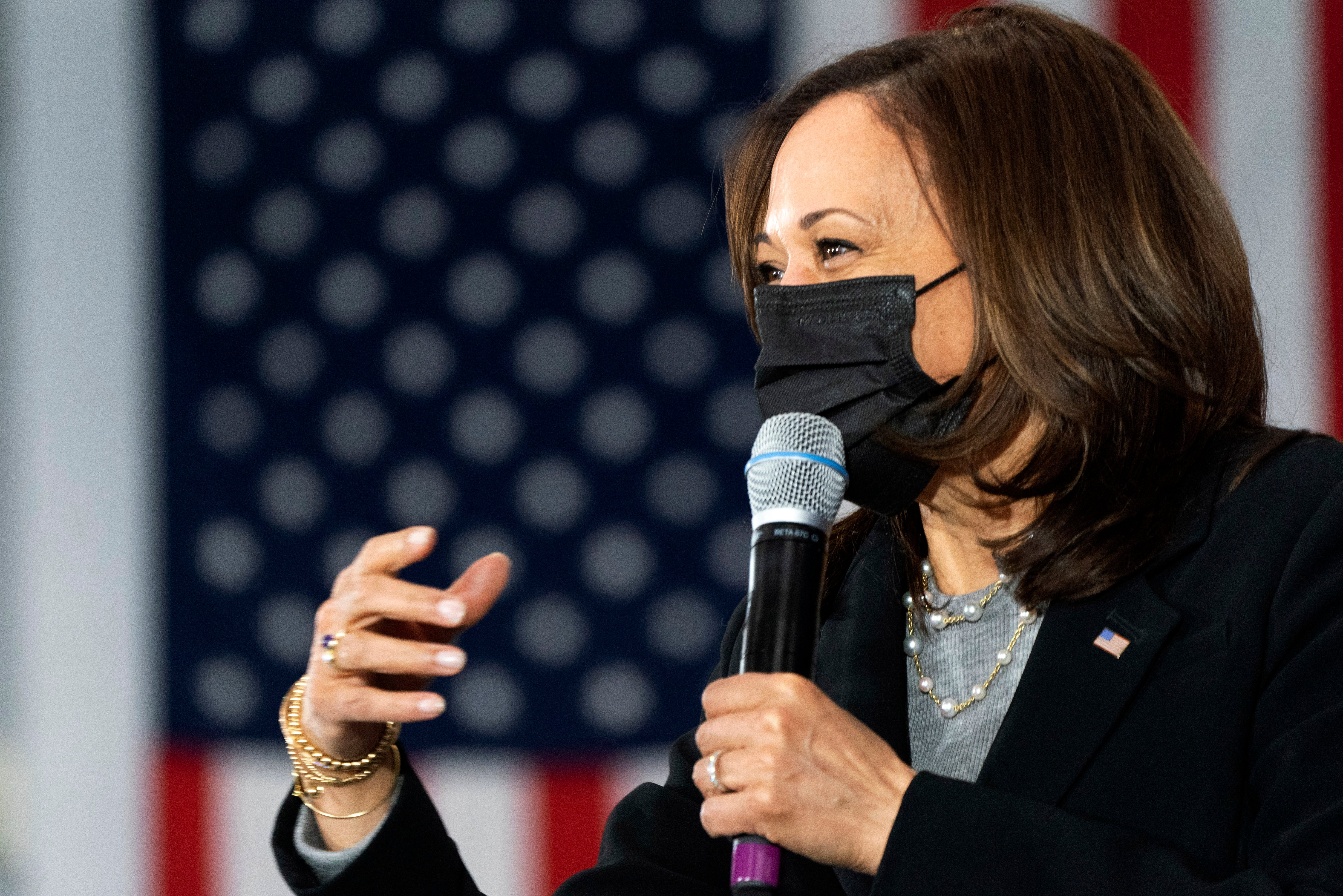 A conservative gripe that a book by Kamala Harris was being distributed at migrant shelters was untrue, a new report says
