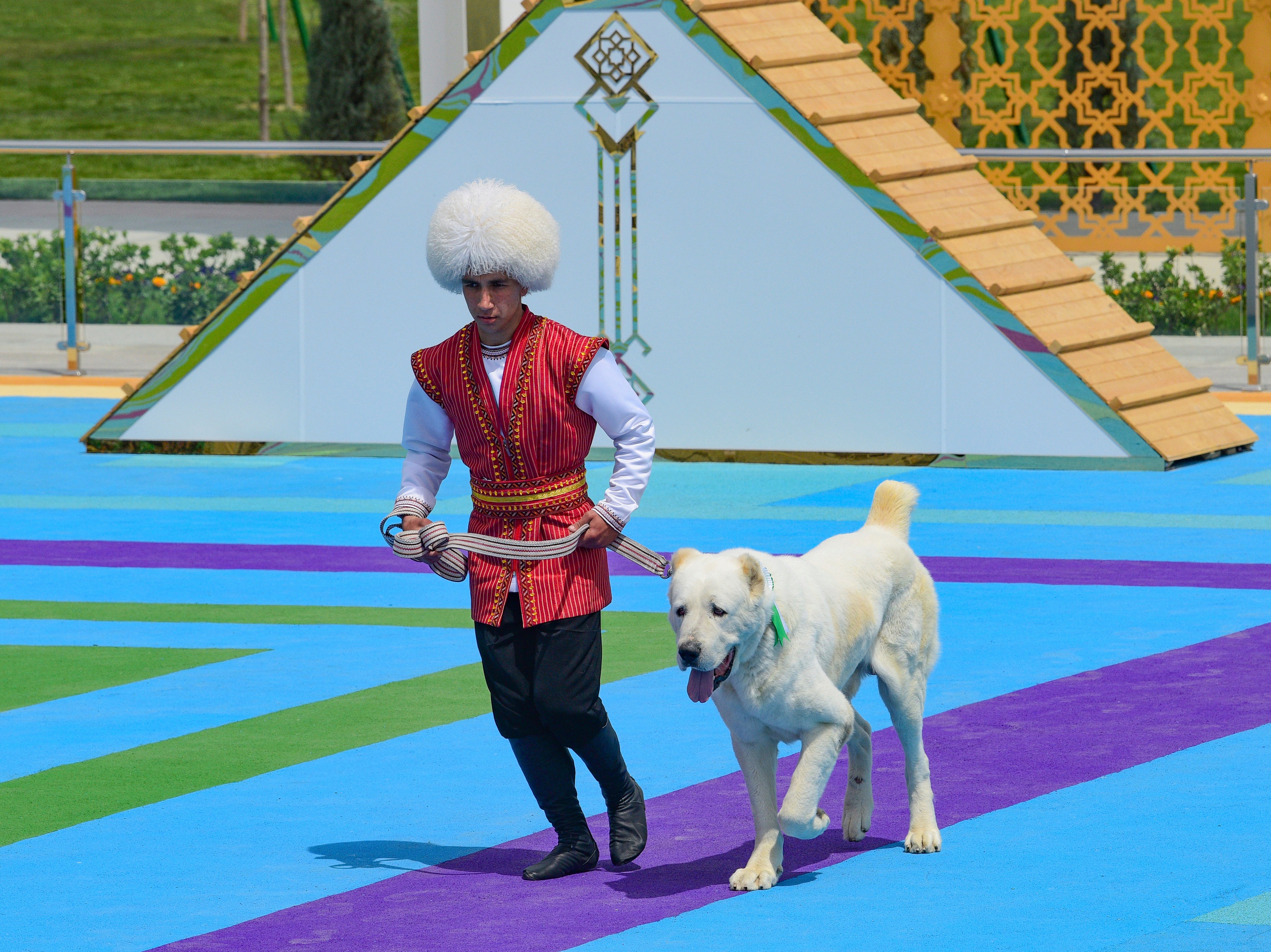 A man dressed in a national costume runs with his border guard shepherd dog Alabay during Dog Day celebration in Ashgabat, Turkmenistan