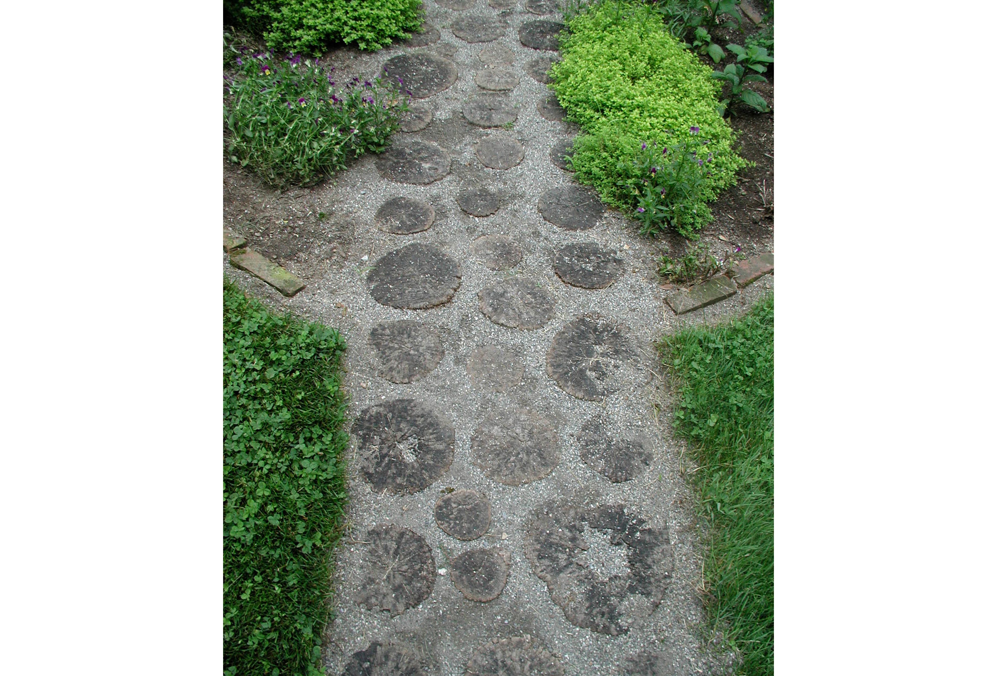 Gardening - Putting in a Path