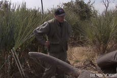 NRA pulled video of its chief repeatedly shooting elephant at point-blank range over fears of PR disaster, report claims