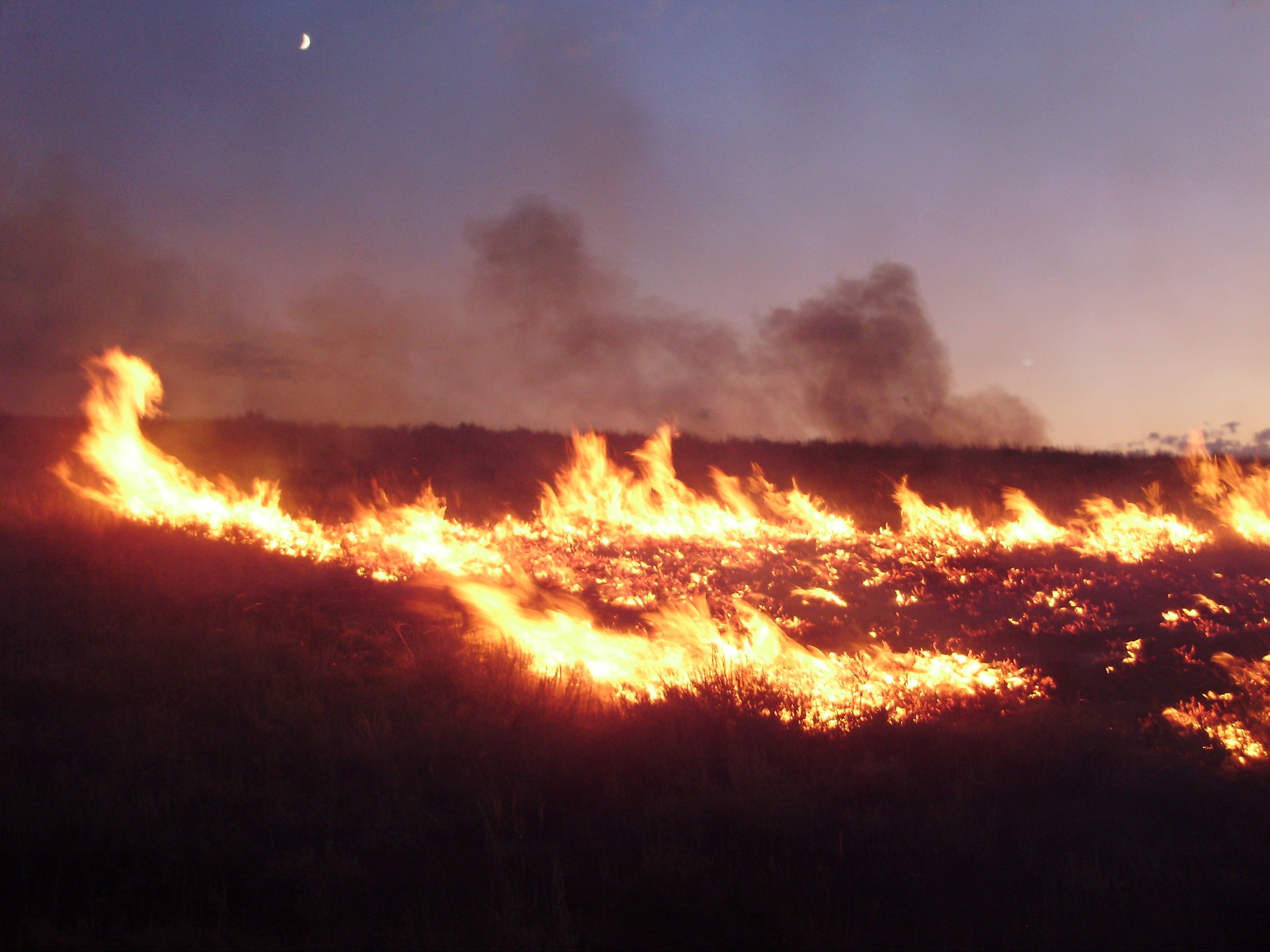 A grassland fire caused by a lightning strike. The slow -burning nature of such fires made them easier to transport for use in cooking and other purposes