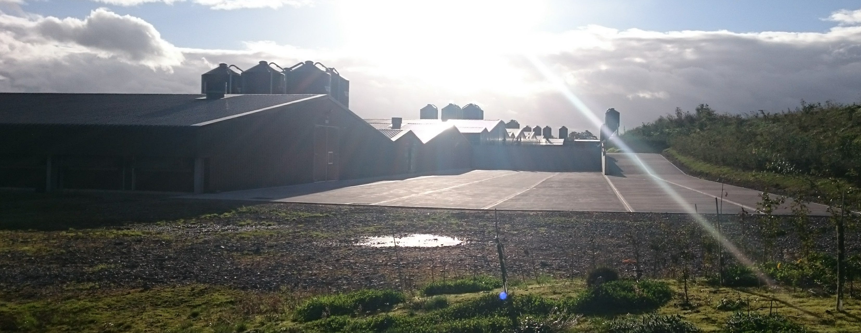 An ‘intensive poultry unit' near the author’s home