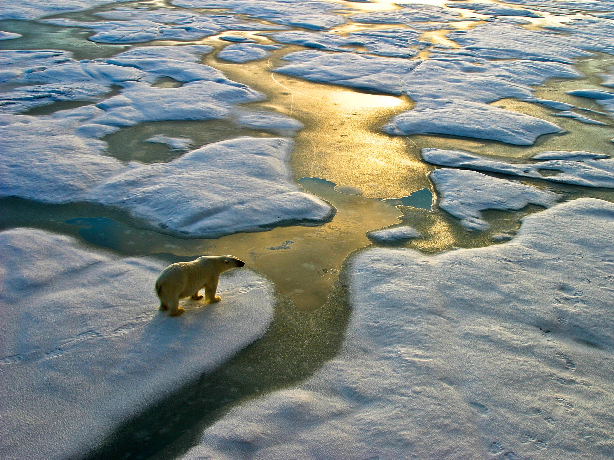 Between 2016 and 2020, commercial banks pledged $314 billion (£230bn) in loans and underwriting to fossil fuel companies looking to expand in the Arctic