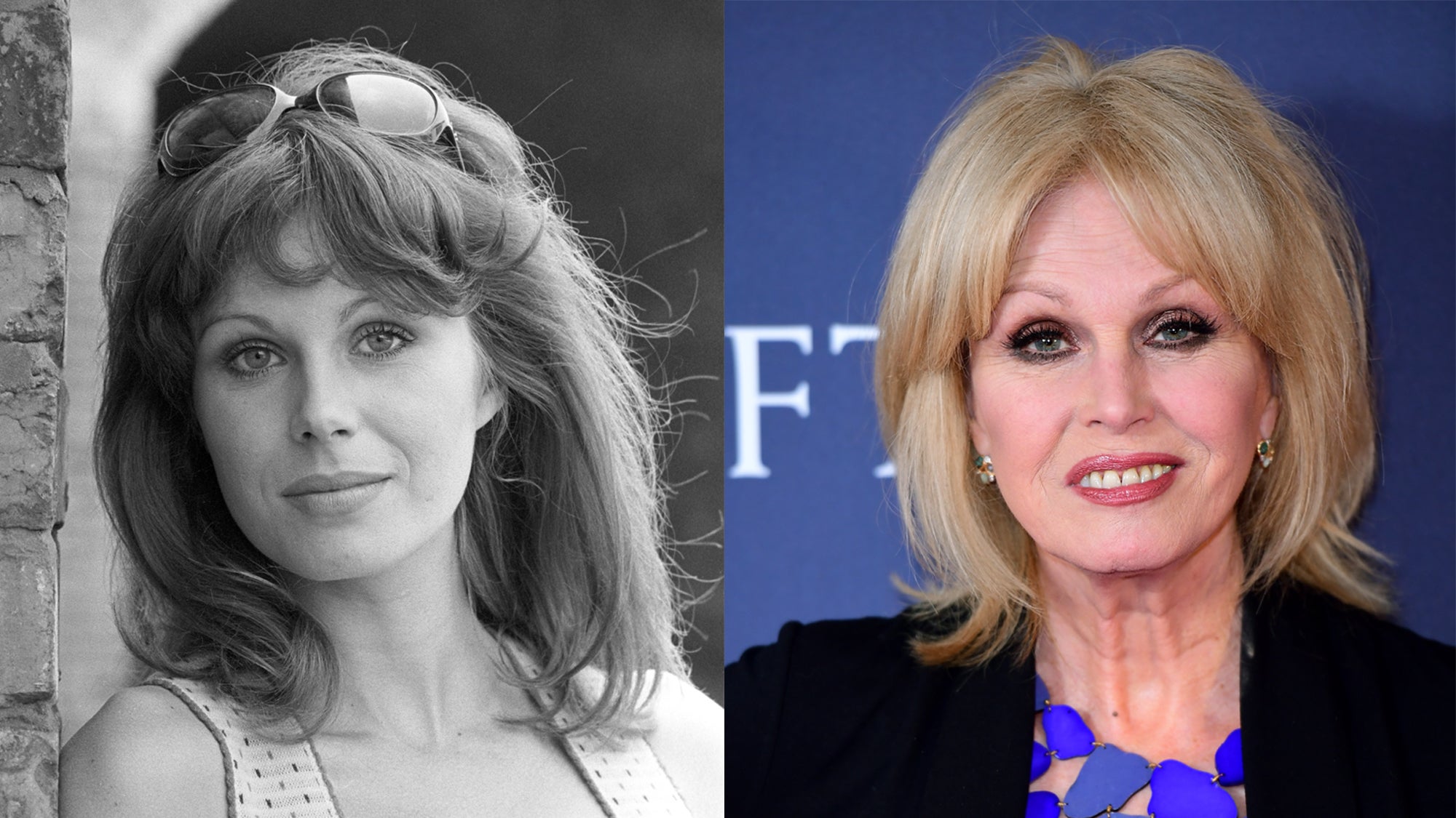 Joanna Lumley