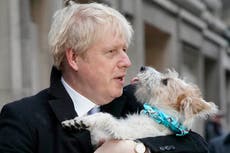 Boris Johnson backs pet theft taskforce, claiming ‘malicious’ dognappers could commit more ‘serious crimes’ 