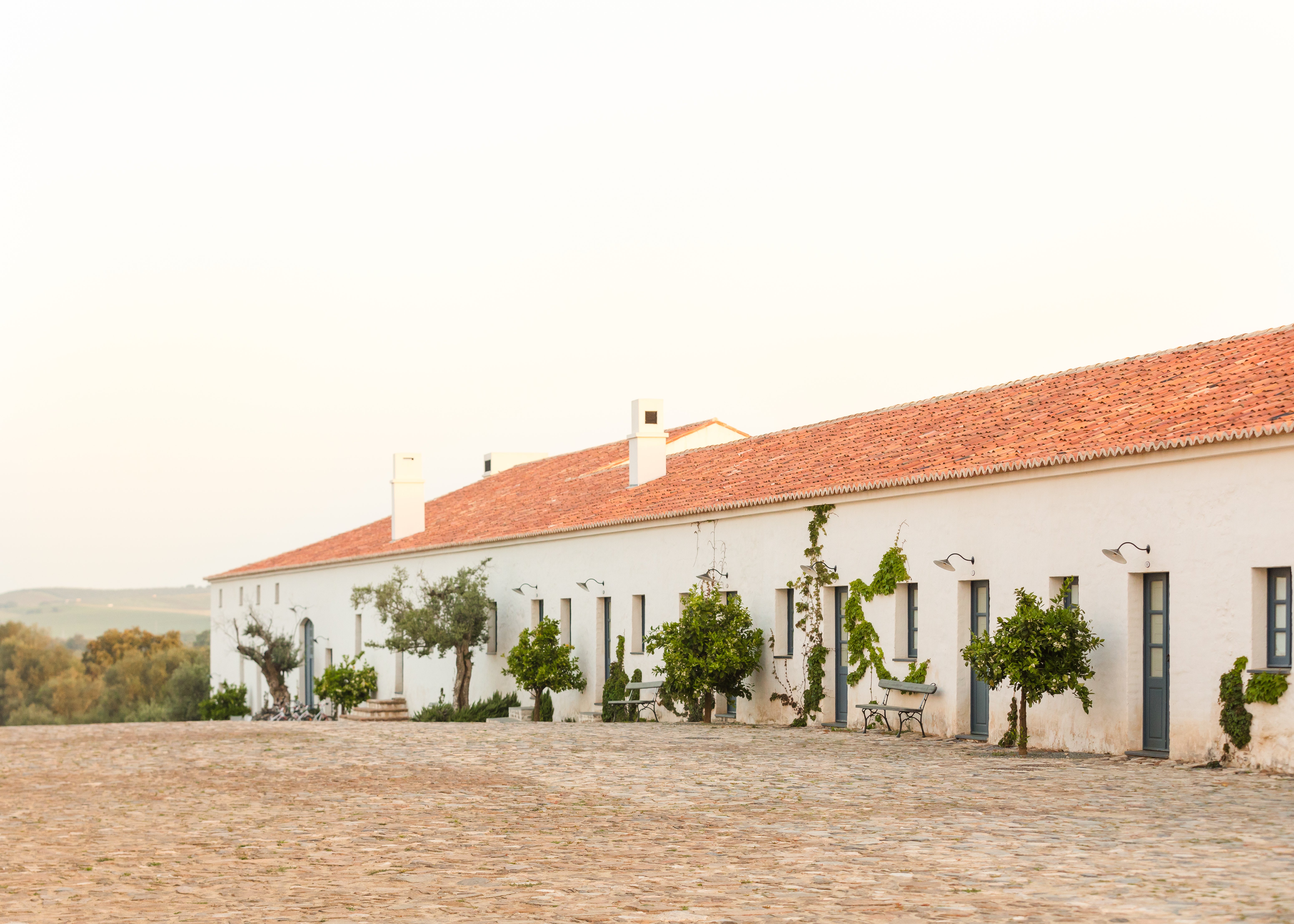 Madonna has a farm in the Alentejo region