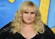 Rebel Wilson reveals she is struggling with fertility: ‘Got some bad news’