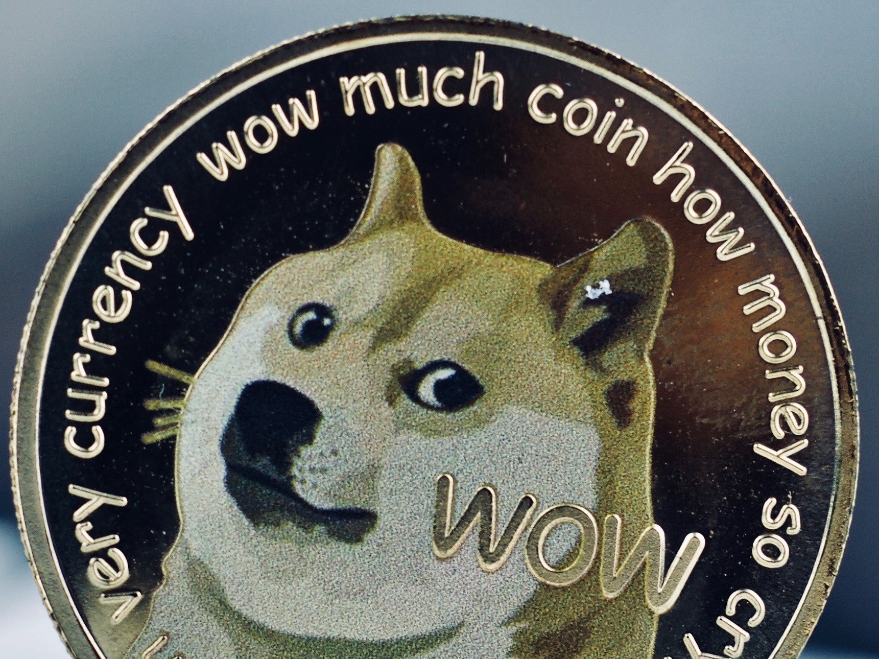 Dogecoin price sky rockets as yet another exchange offers crypto ahead of Elon Musk’s SNL appearance