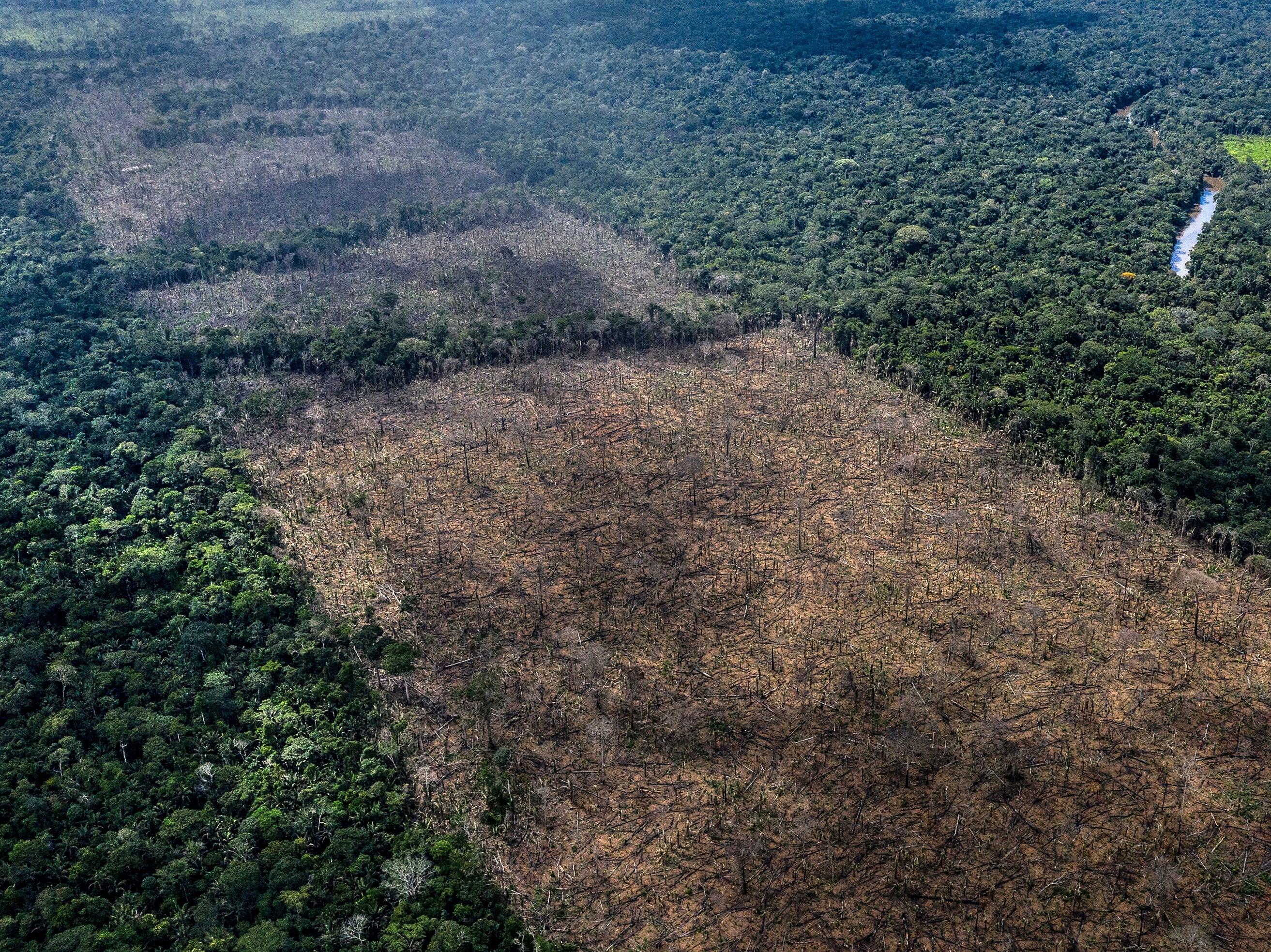 At present, food production takes up nearly half of the planet’s habitable surface