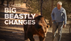 GOP candidate in Newsom recall race campaigns with giant grizzly bear, calling for ‘big beastly changes’