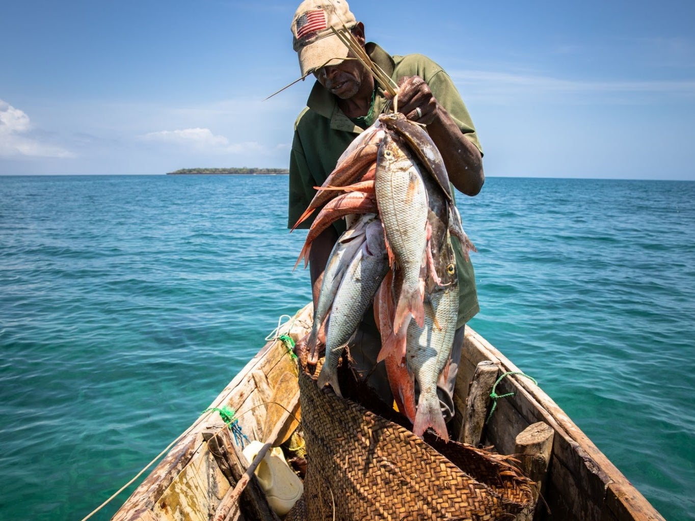 No-take marine protected areas increased the growth of fish populations by 42 per cent when fishing was unsustainable in surrounding areas