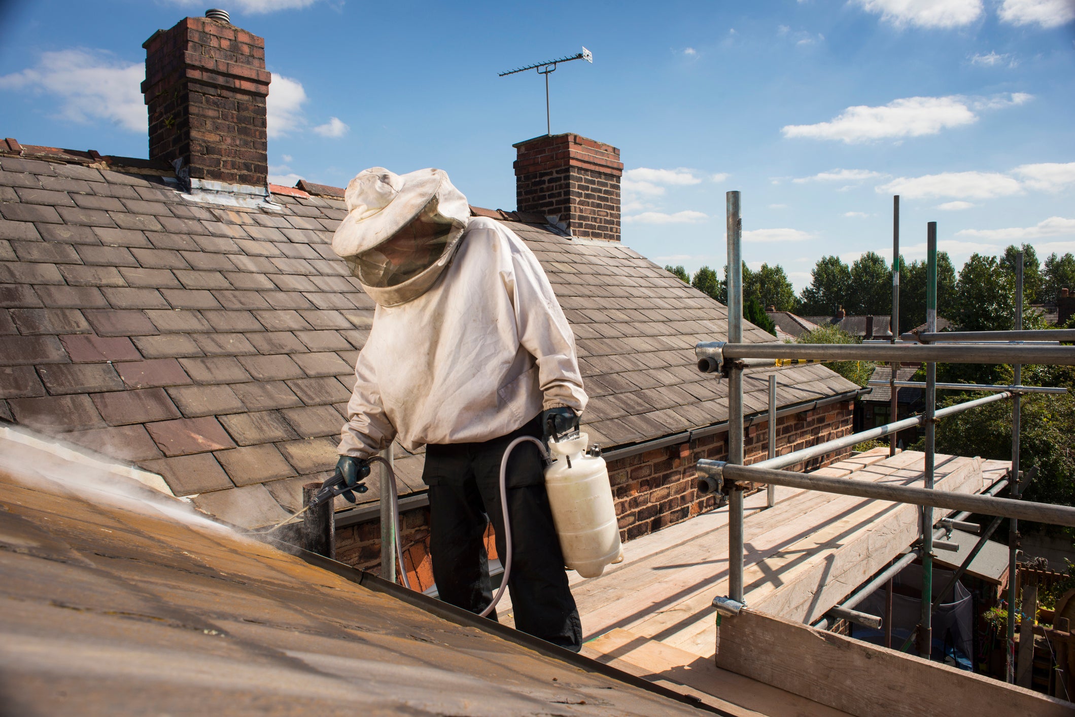 Pest control takes care of a much-loathed wasp nest on a roof