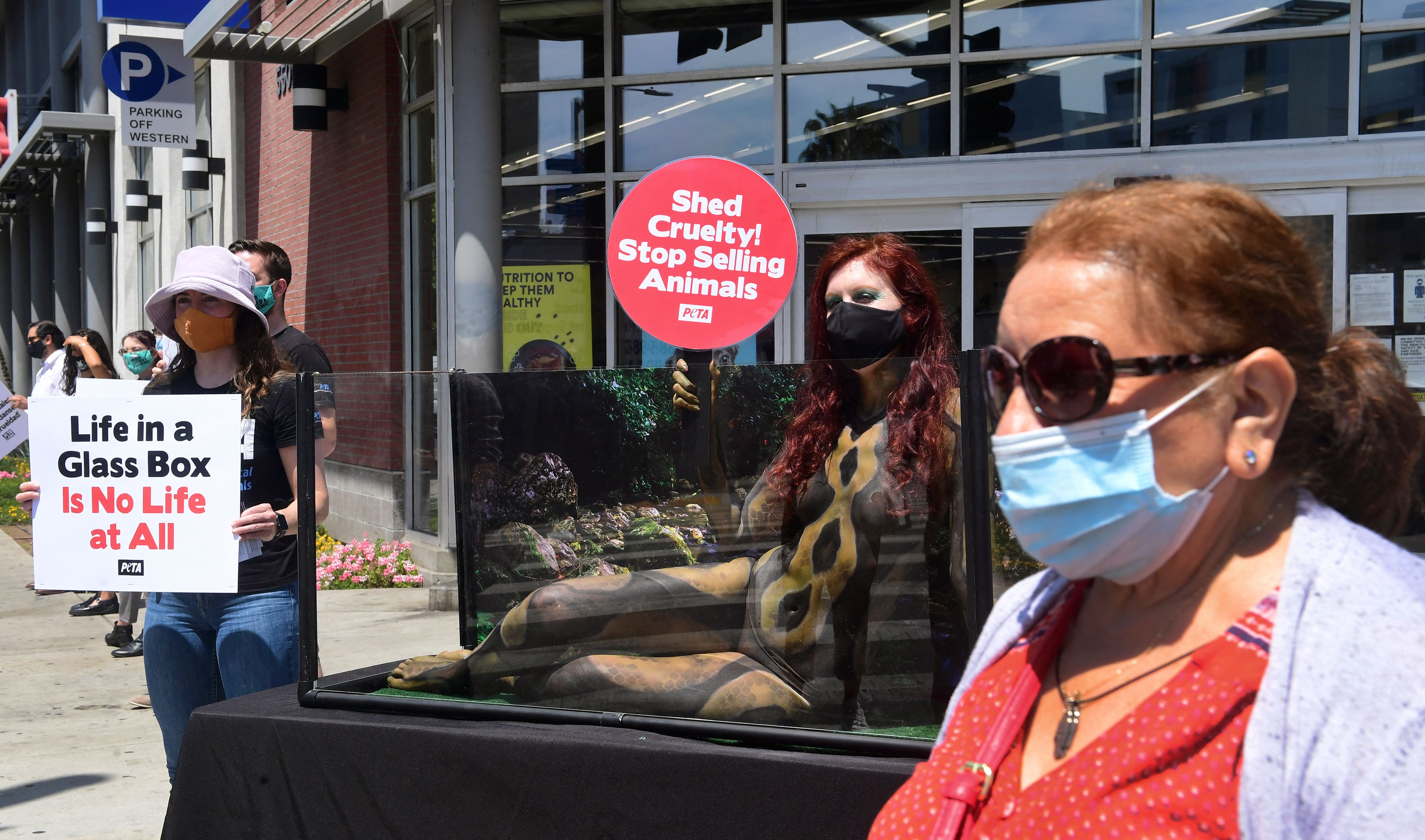 A Peta protest outside a Petco shop in California