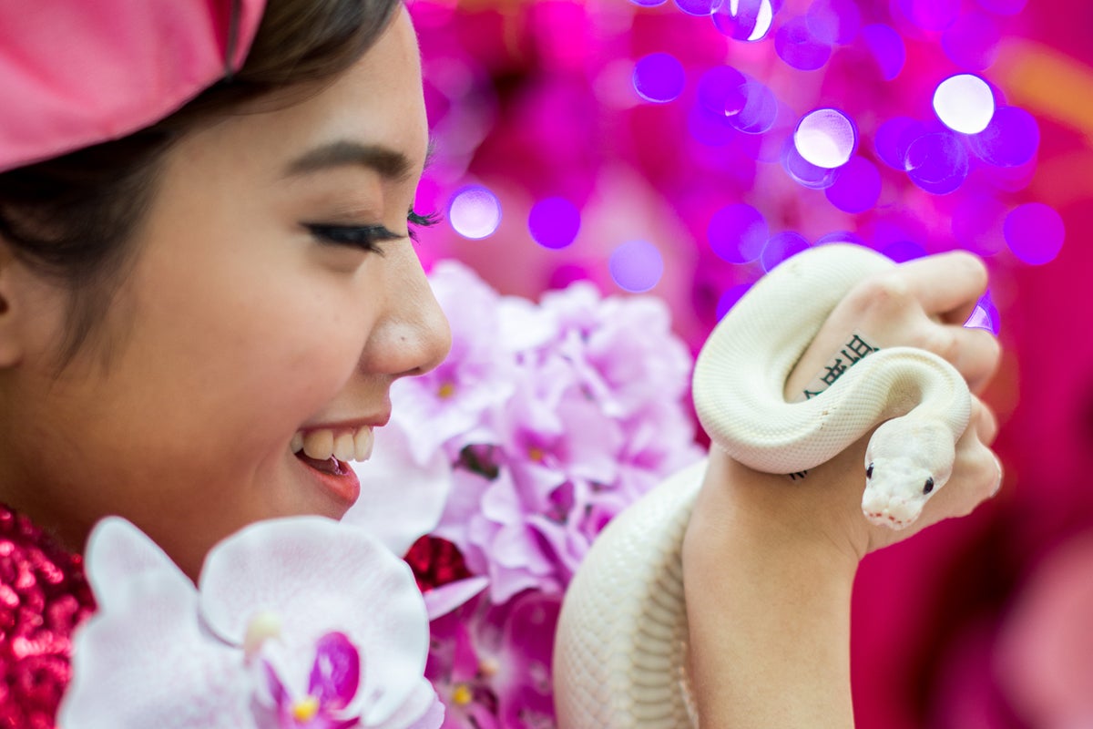 A snake display to promote responsible breeding and pet ownership in Hong Kong